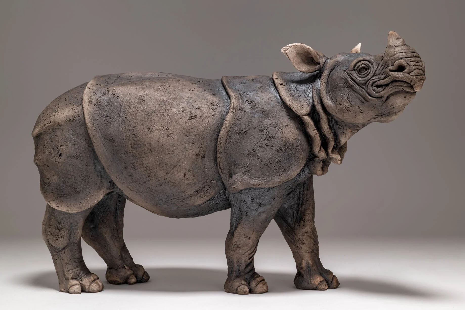 Javan Rhino.