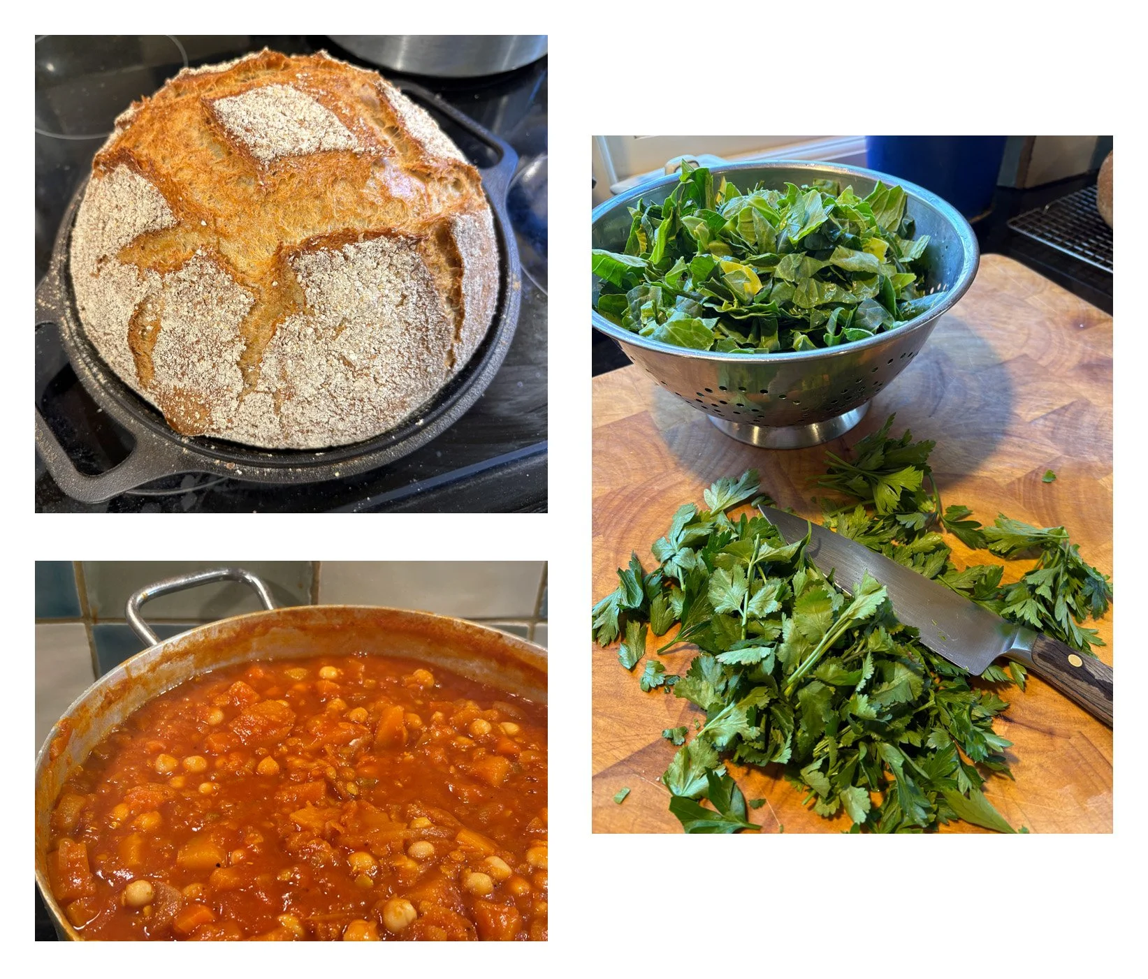 Animal Sculpture Workshop