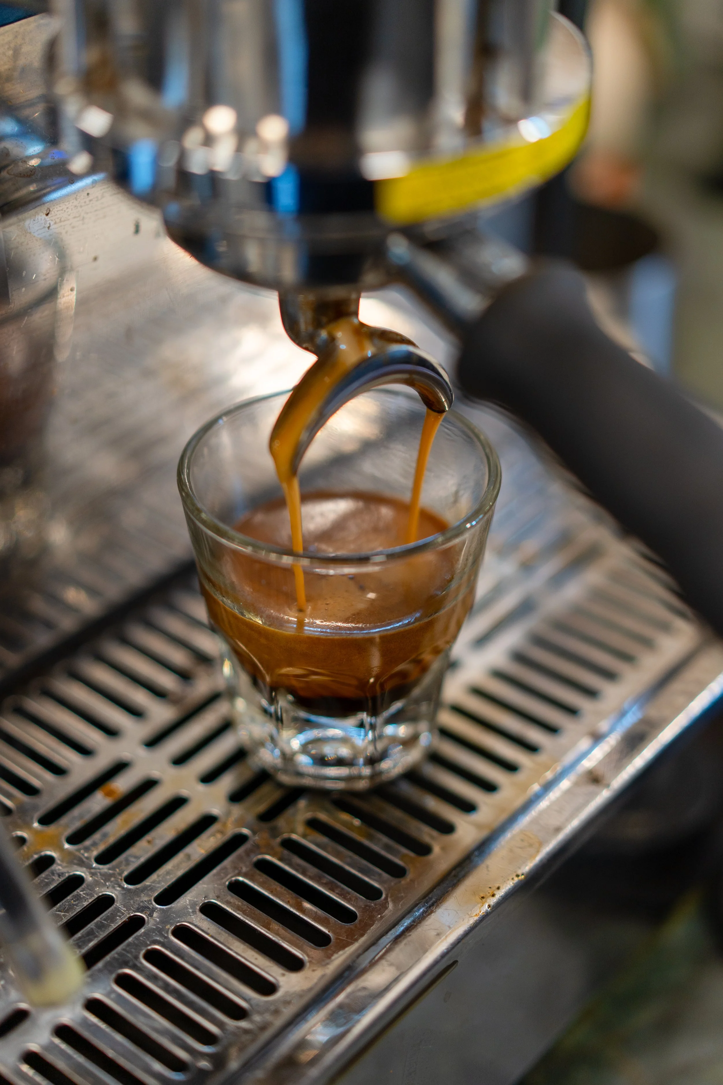 Cypres Coffee - 3.1.26-10.JPG