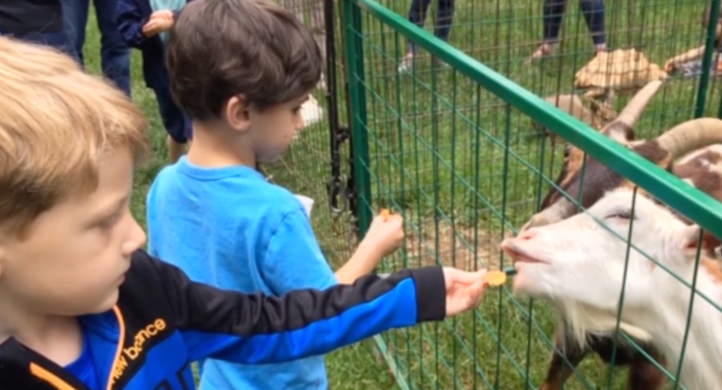The Crèche Preschool