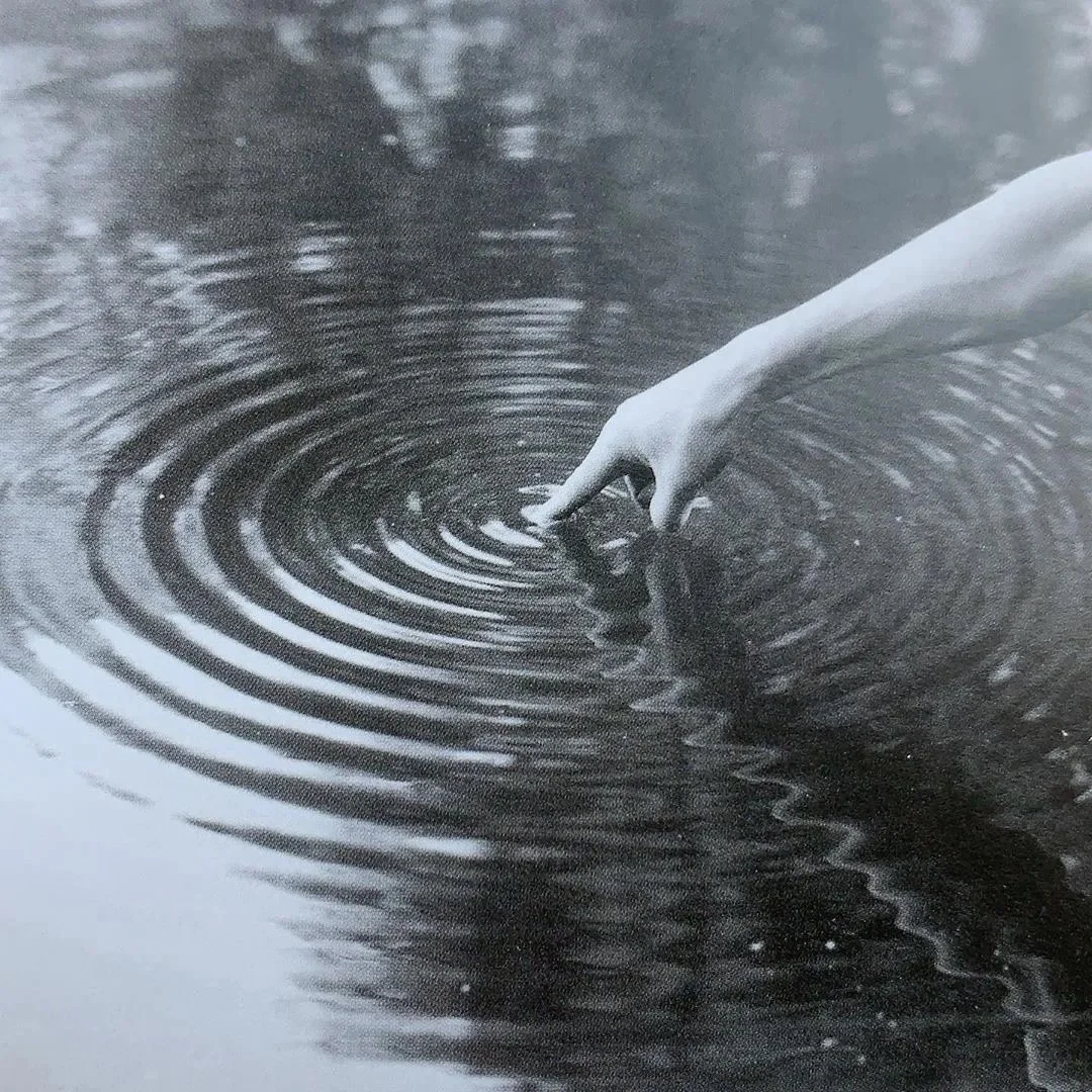 One Note, Infinite Frequency: Holding Integrity in Uncertain Times