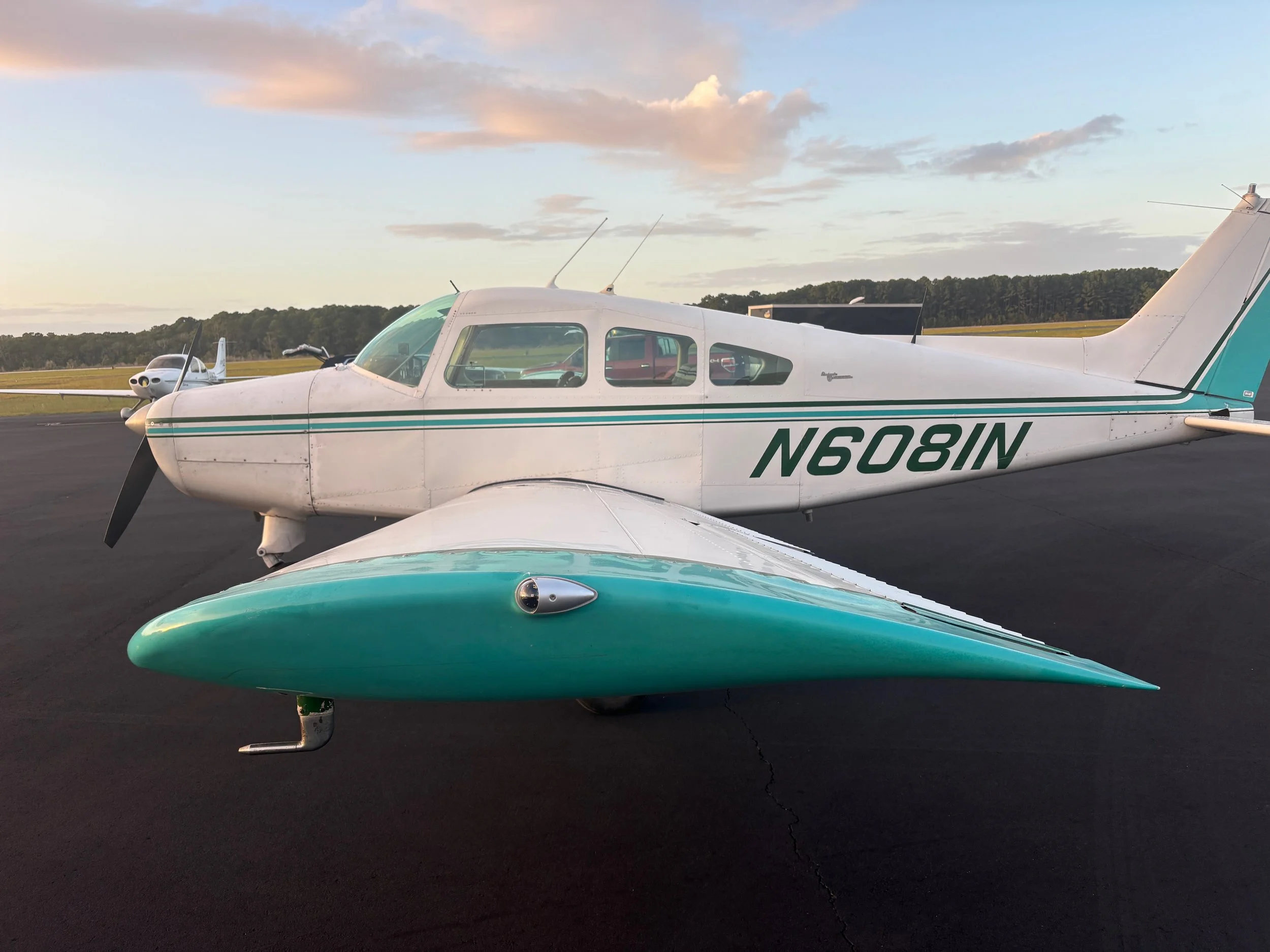 Musketeer N6081N - 14 of 44.jpeg