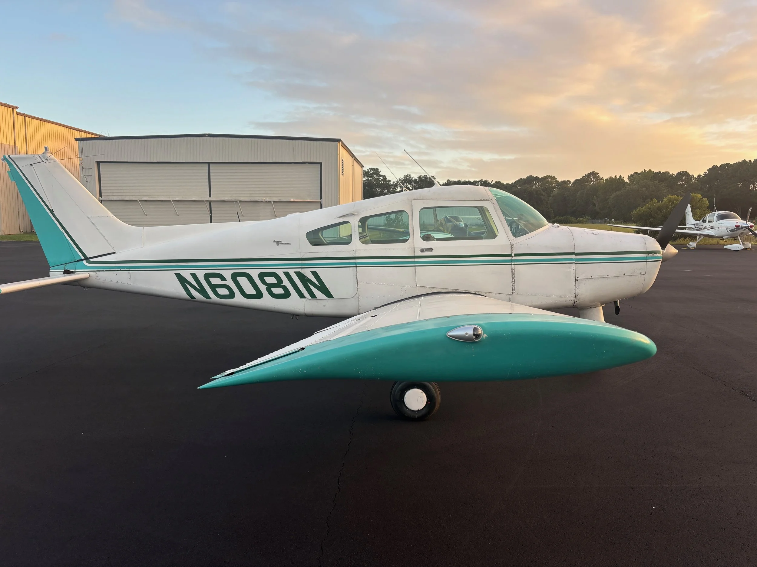 Musketeer N6081N - 8 of 44.jpeg