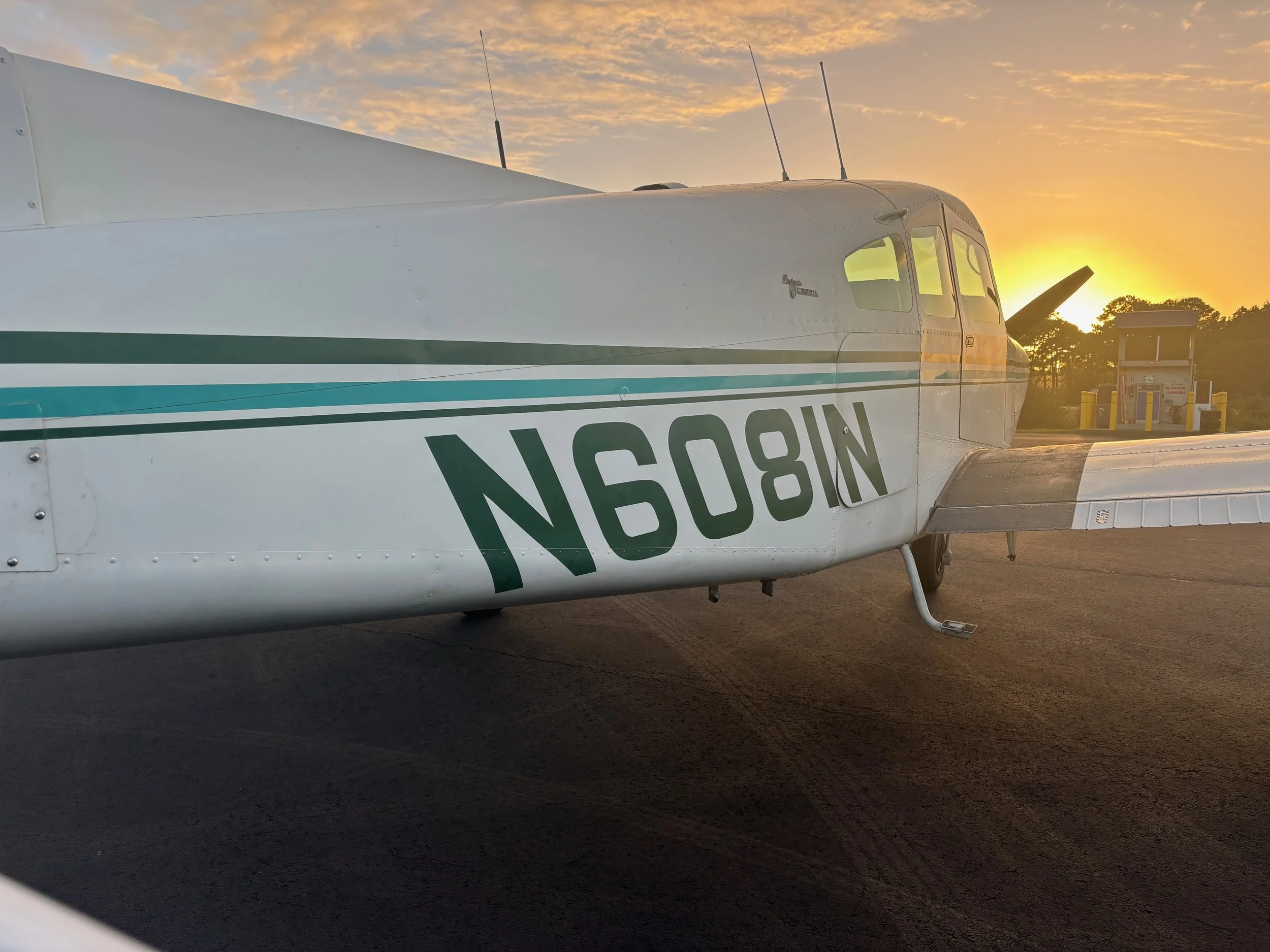 Musketeer N6081N - 9 of 44.jpeg