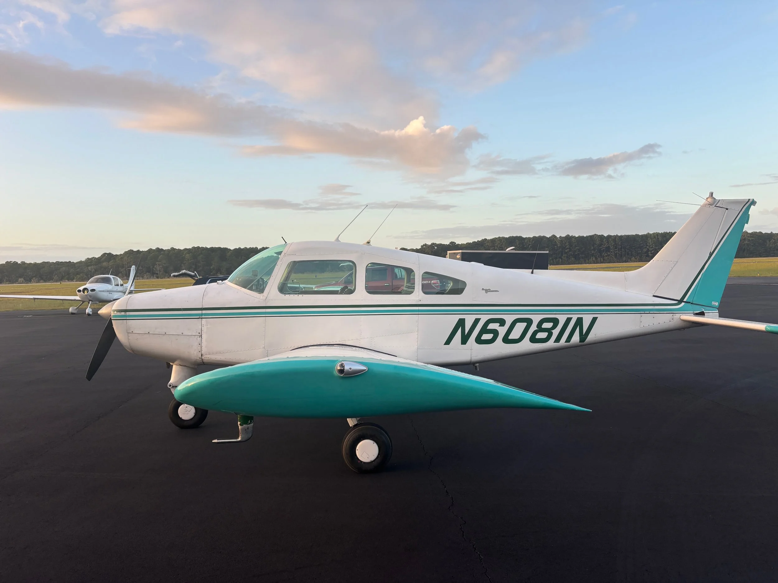 Musketeer N6081N - 16 of 44.jpeg