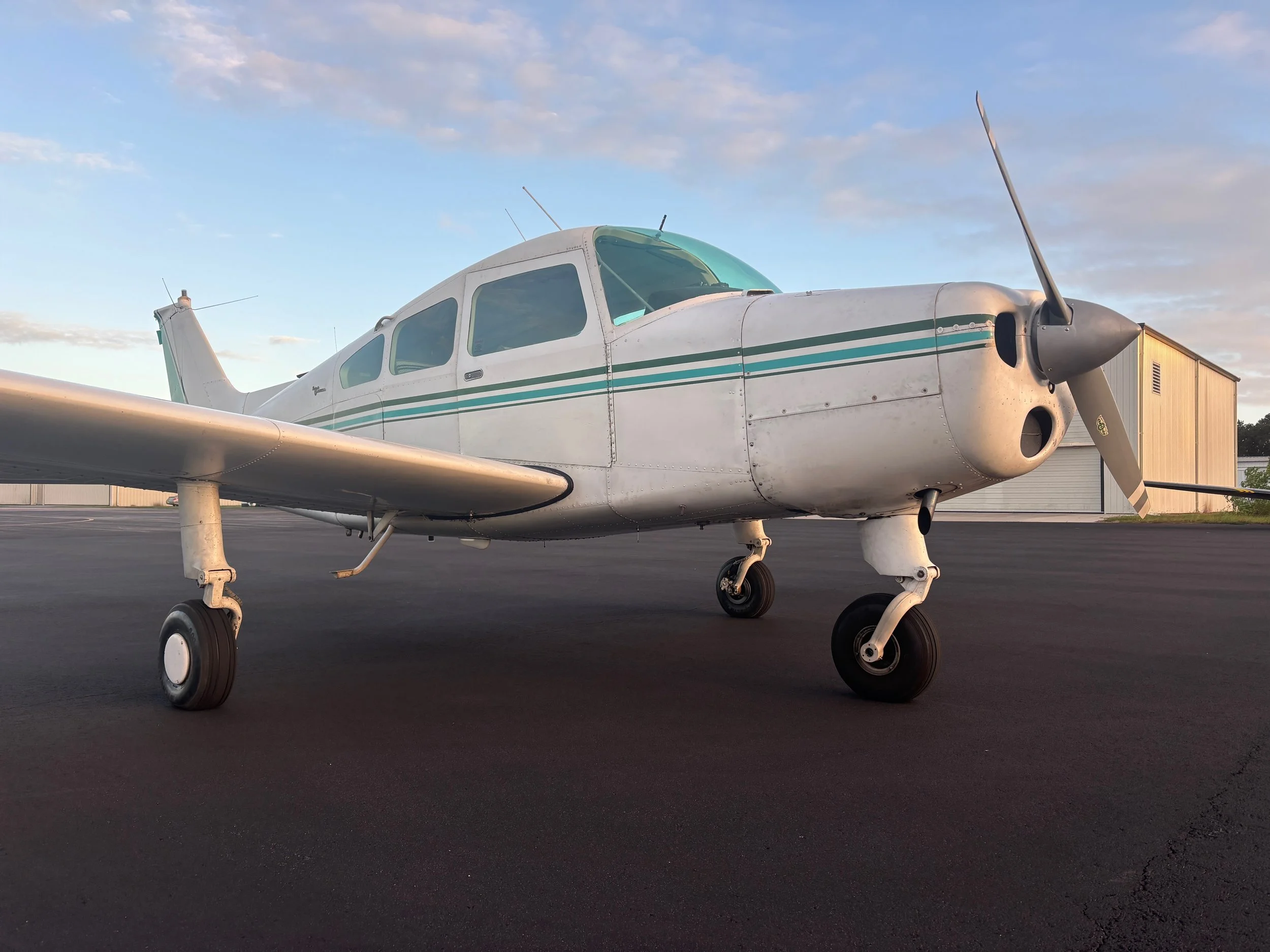 Musketeer N6081N - 3 of 44.jpeg