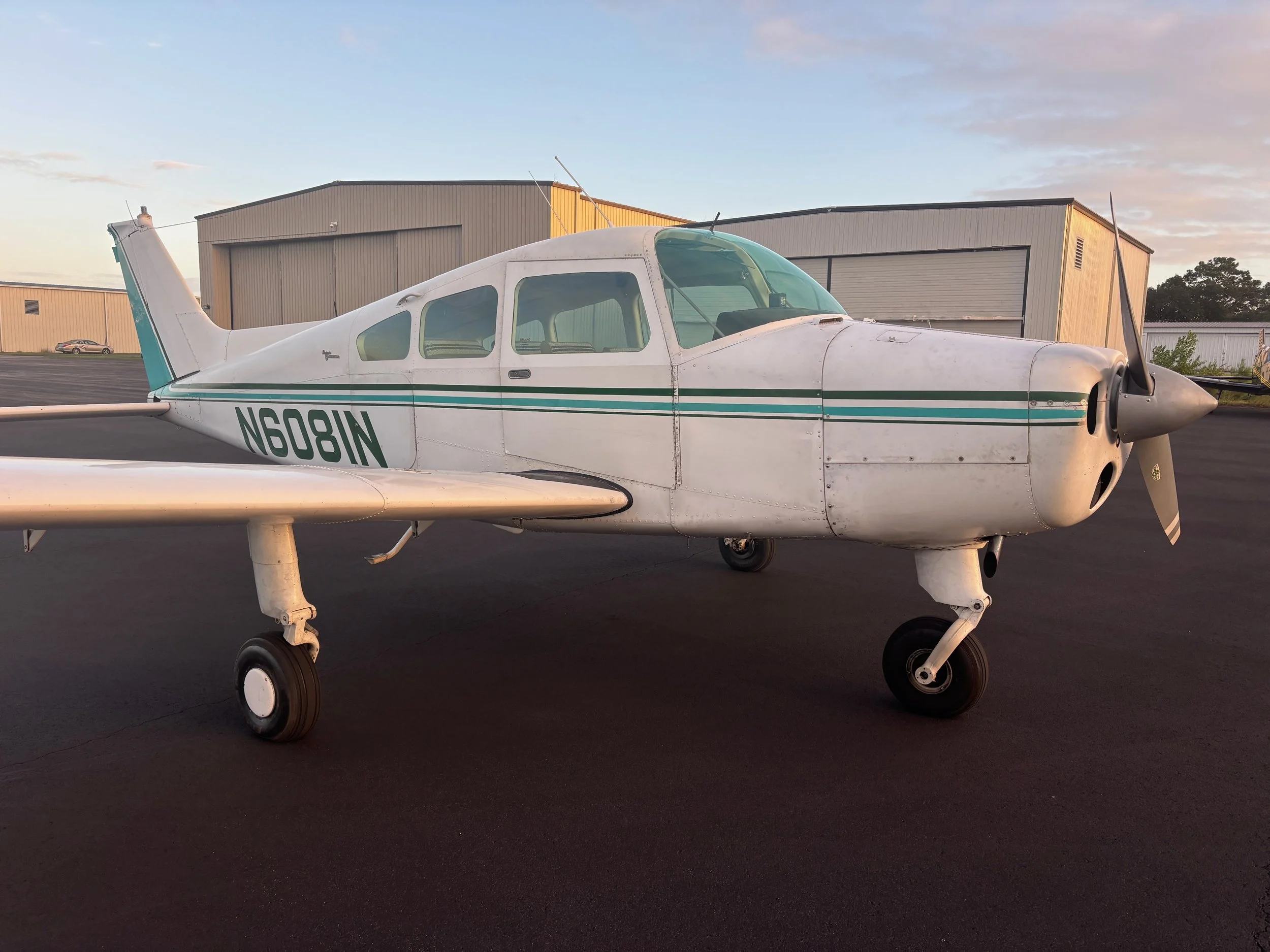 Musketeer N6081N - 4 of 44.jpeg