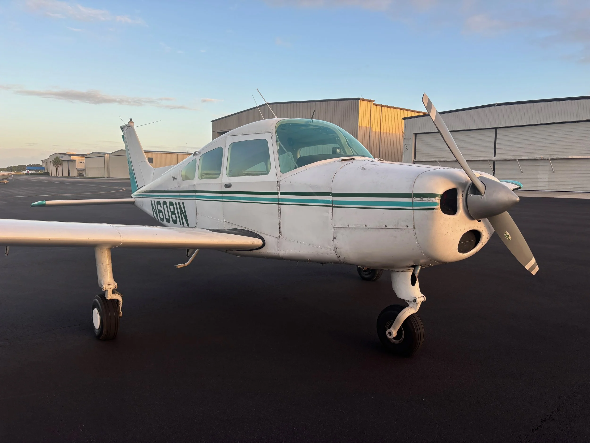 Musketeer N6081N - 2 of 44.jpeg