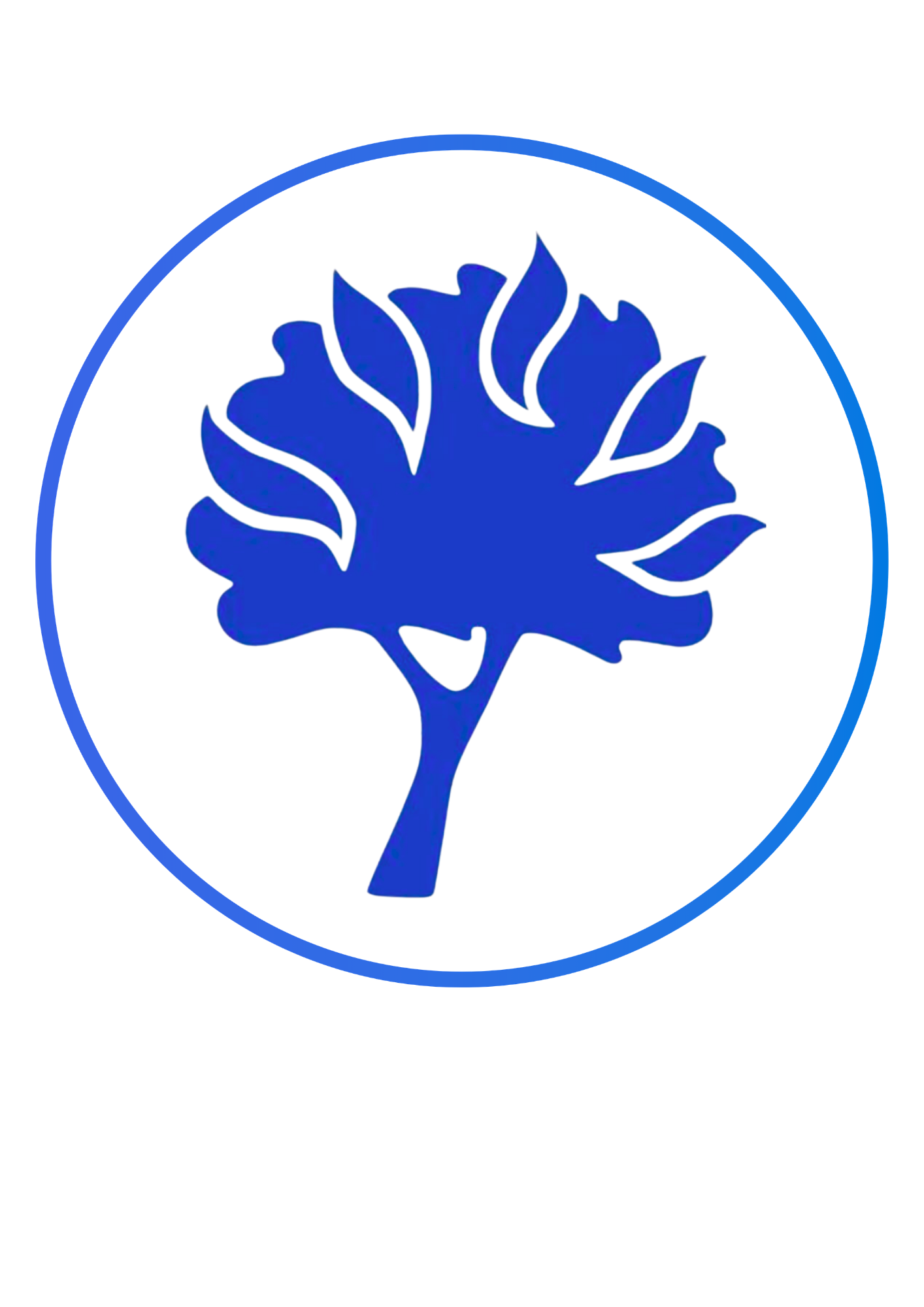 Ballygowanpresbyterian