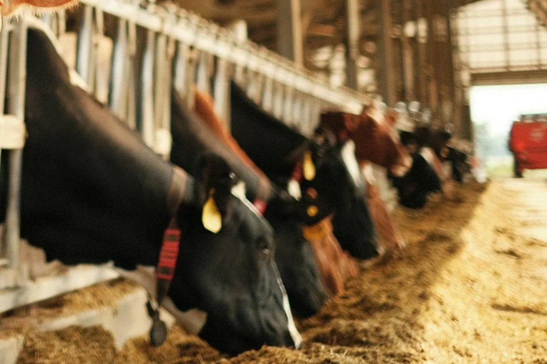 Pharm Robotics - a UCR EPIC Company