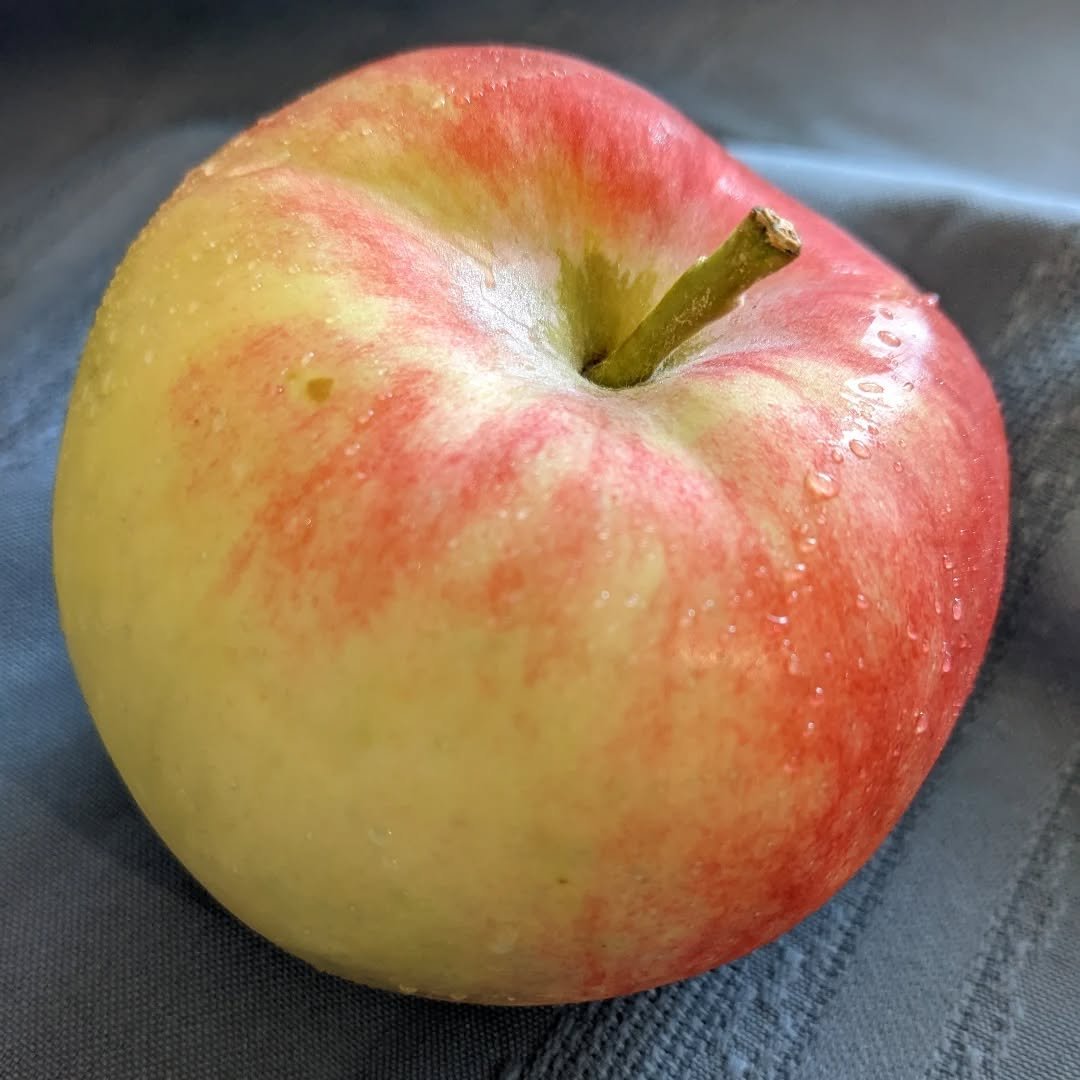 It's like apples and chilli peppers this week at the Smart Blog.

#chilli #spicy #homegrown #redhotchillipeppers #chadsmith #chef #drums #foodie #gardening #growyourown #hot #organicgardening #smartpigkitchen #aquitotodoss&atilde;obemvindos #asmr #ba