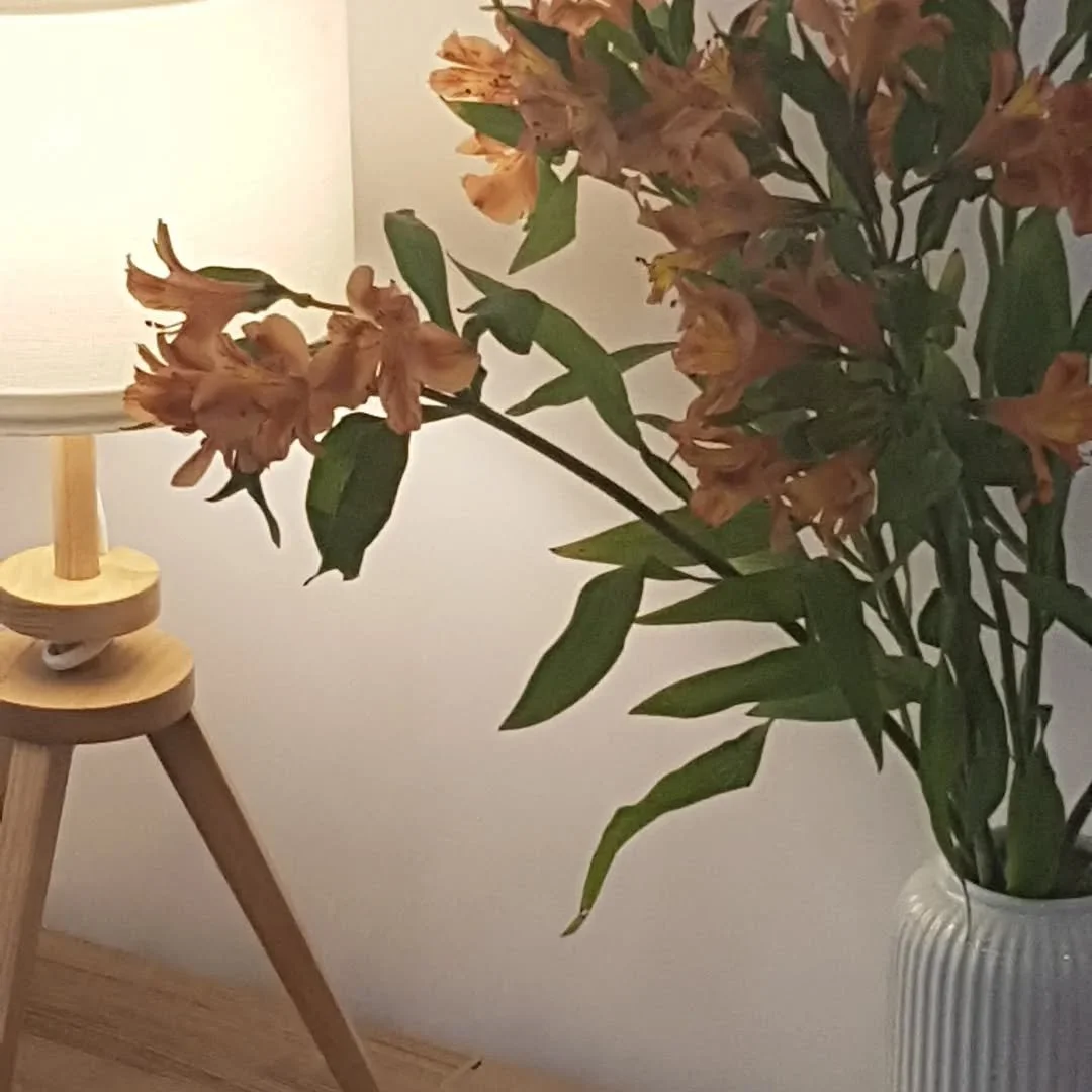 Grab your fam for brunch this weekend! Where it comes from and why it's good for your health this week in the Smart Blog.

#food #foodie #breakfast #foodporn #instafood #yummy #foodstagram #lunch #foodphotography #coffee #delicious #dinner #foodblogg