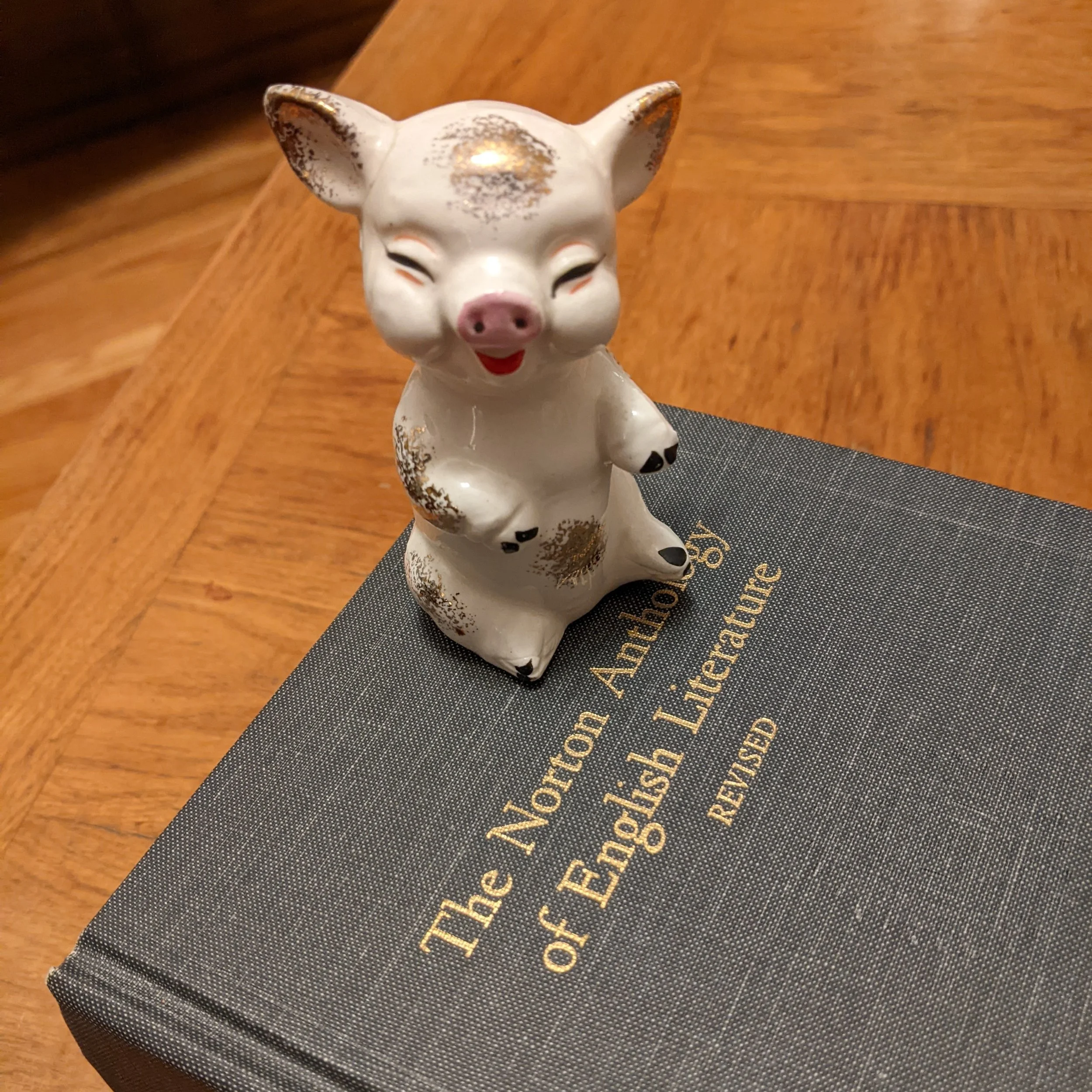 A Pig of Conscience