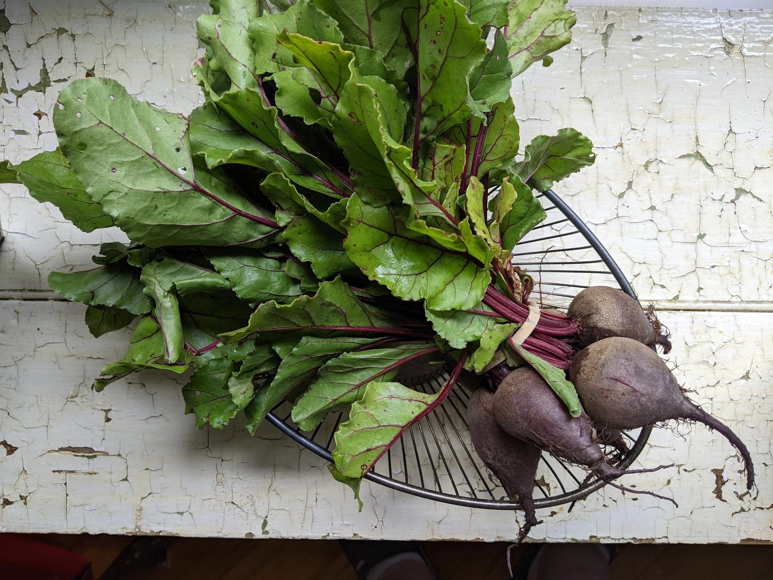 An Idiot’s Guide to Salad: Play with Your Food