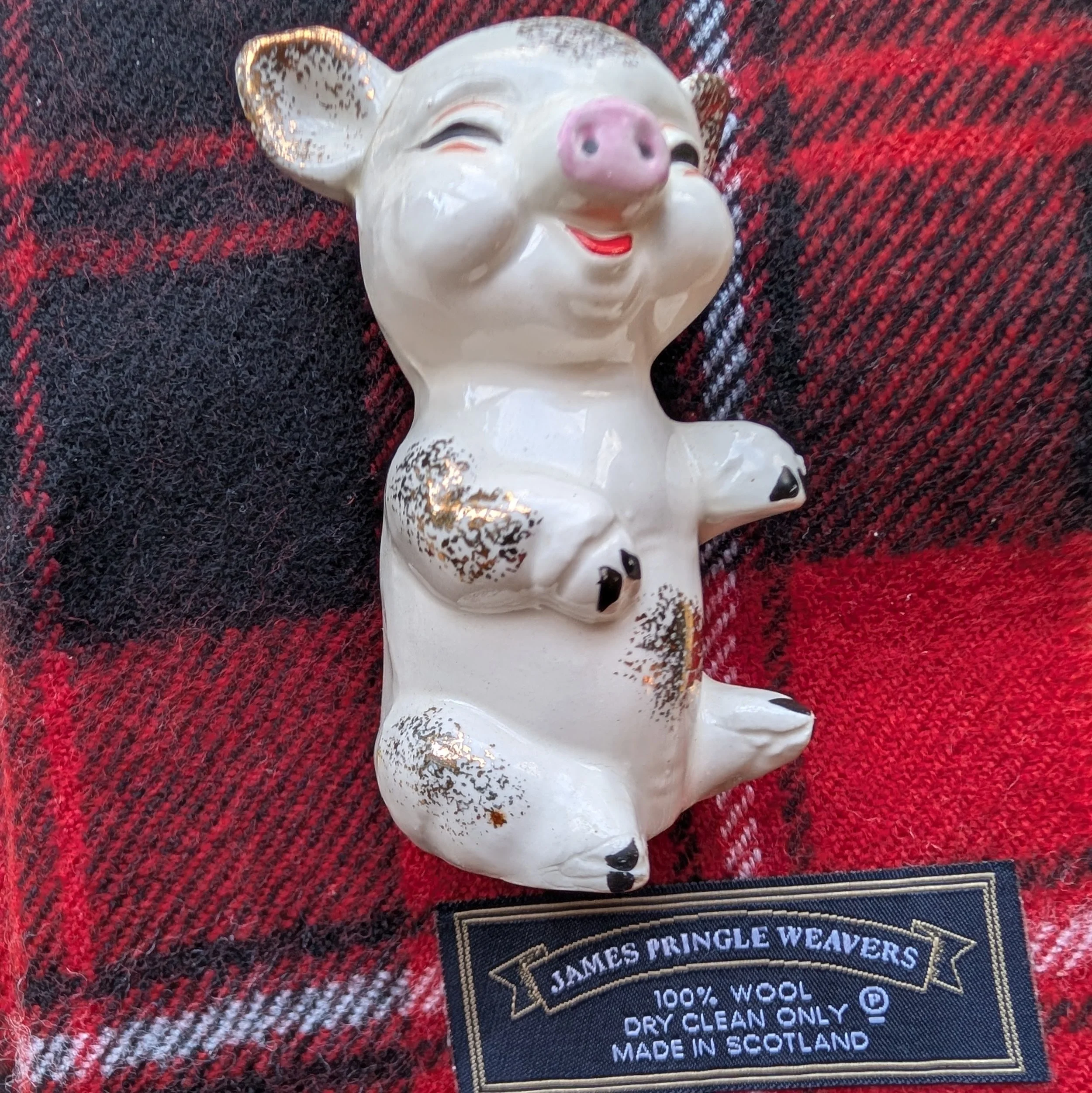 Thanks to the Scruffy Dinner Party for Giving US Fine Dining
