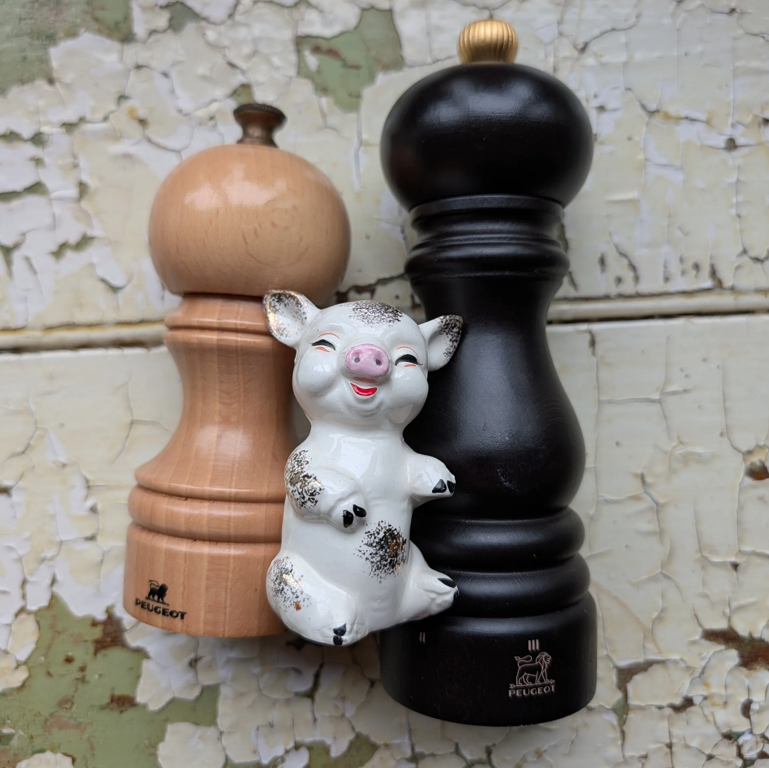 Black and White Pepper: Spice Up Your Life: AI and Wage Equity
