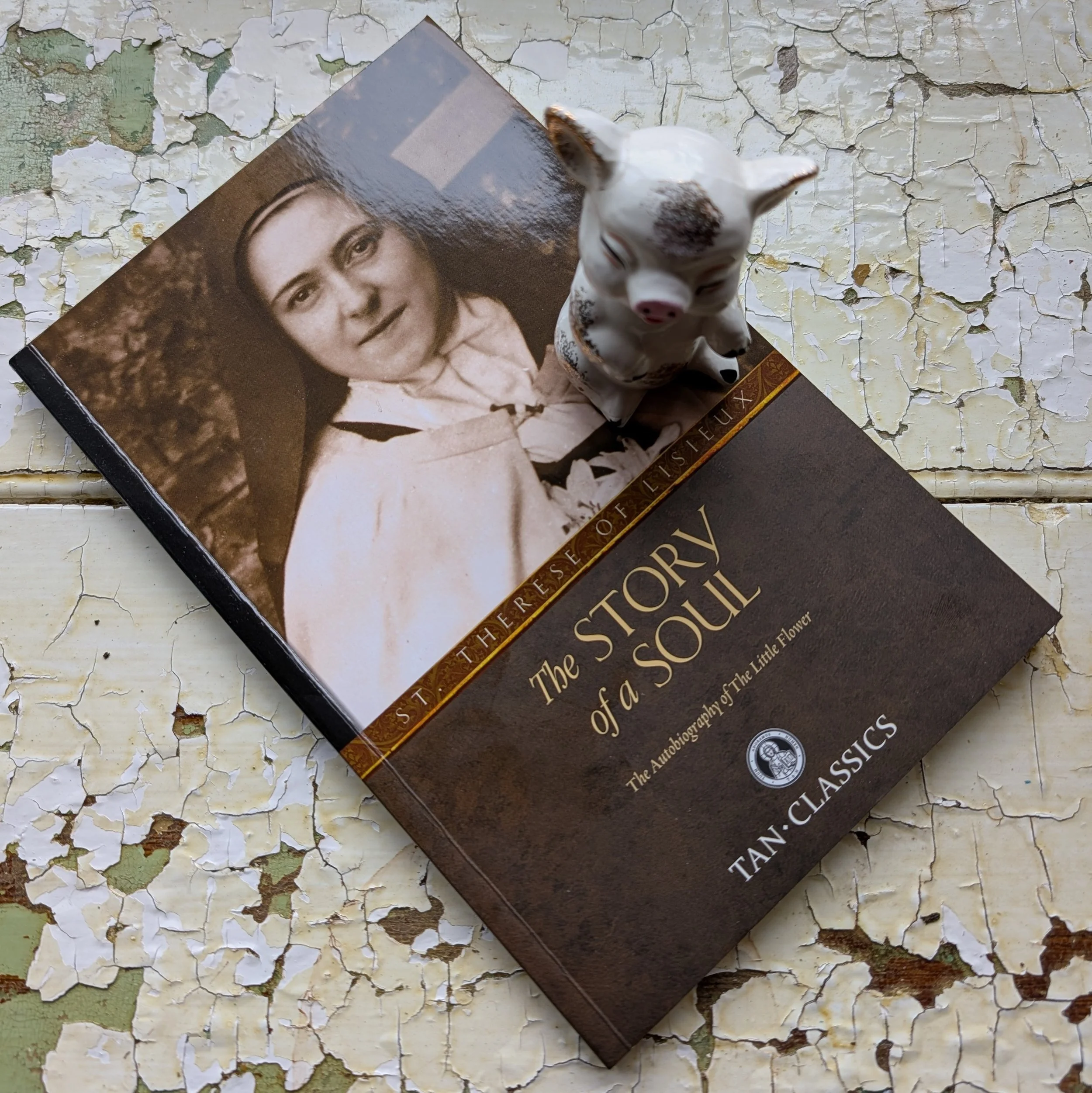 The Second Reason Why I'm Catholic: I think God talks to me but maybe that's not so crazy here's why
