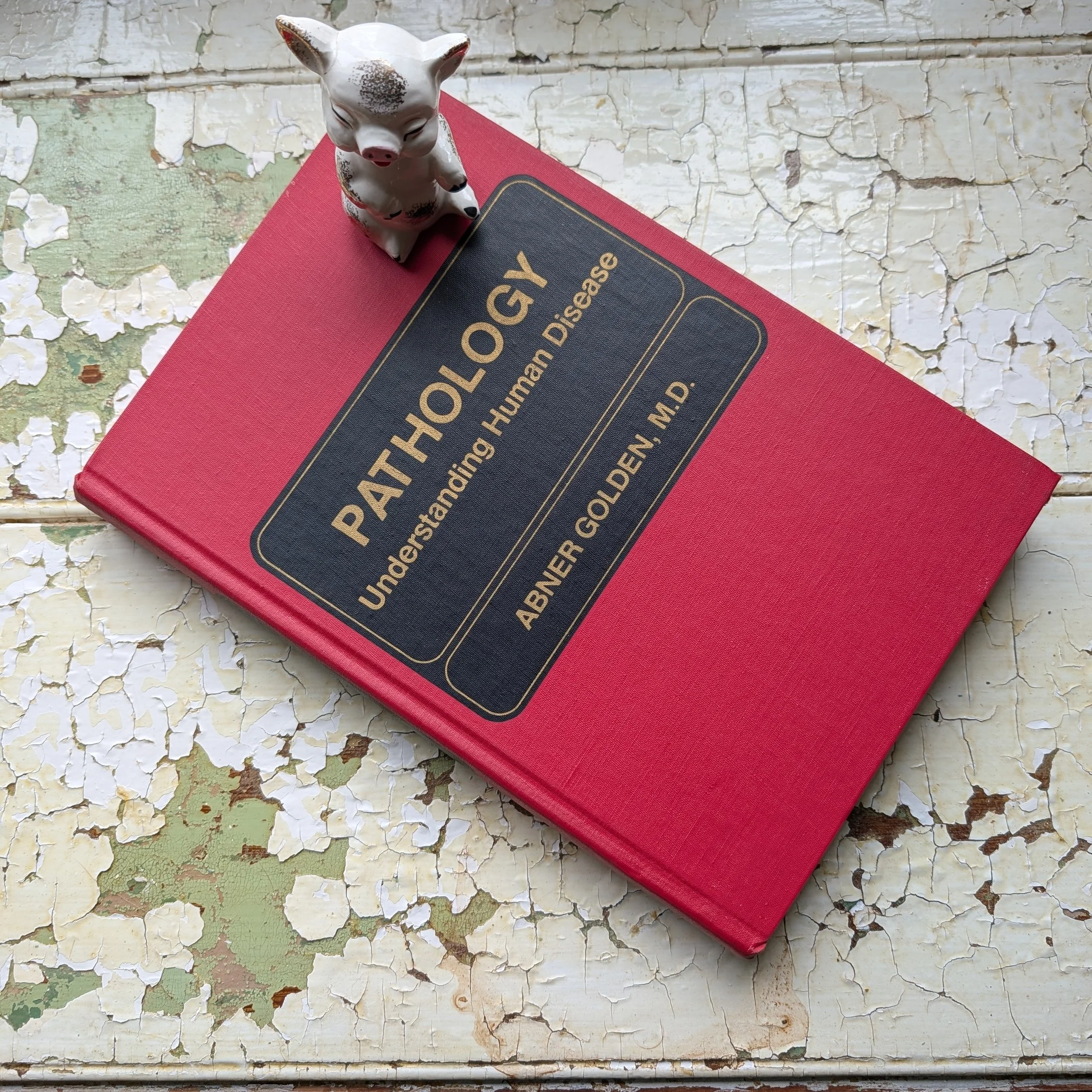 WHO needs to prepare a list of nutrient rich vegetables? you do! Do you!
