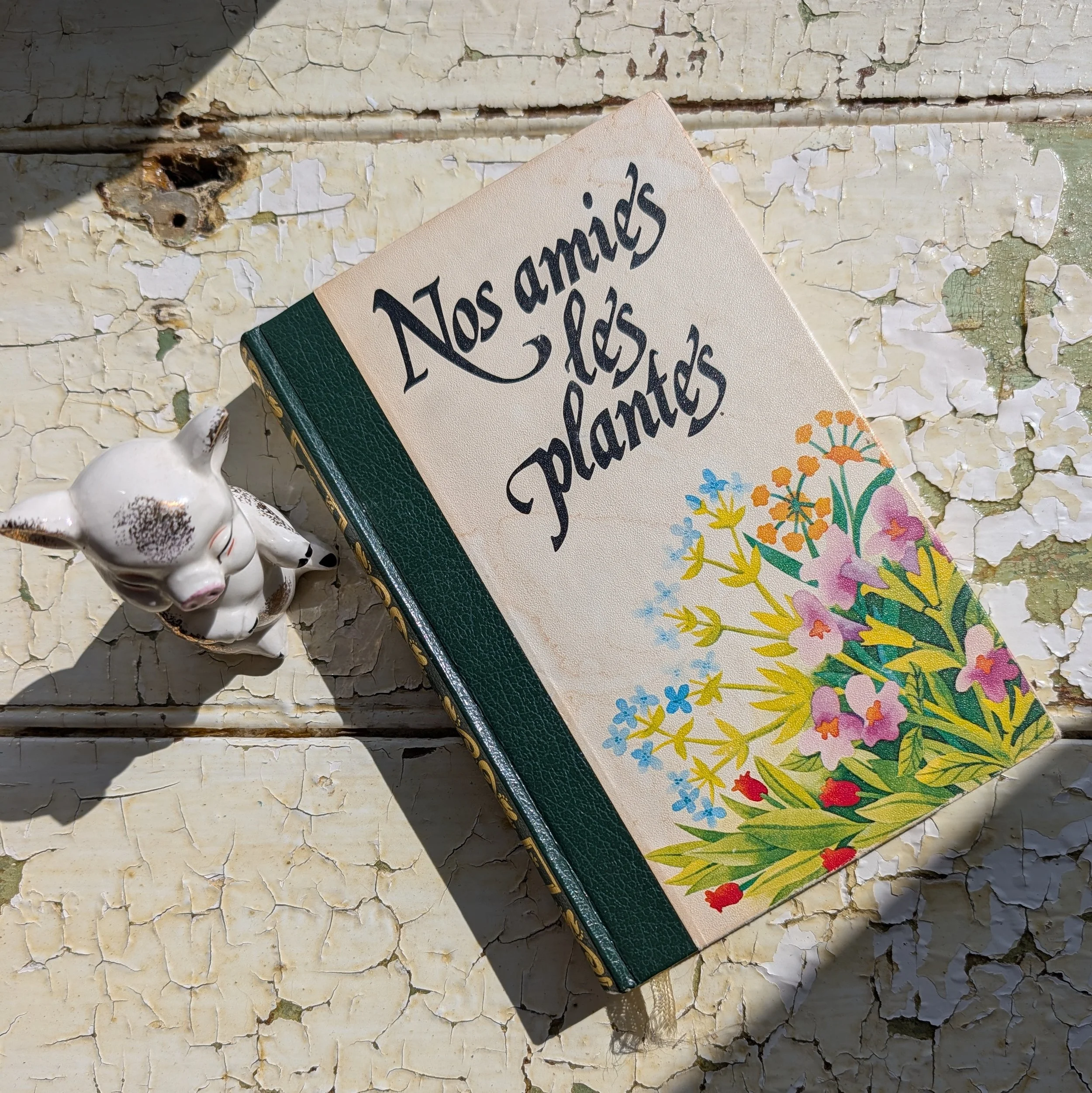 Low Hanging Fruit: Why I Try to Eat a Low-Impact Diet (And Where the Meat Fits In)

