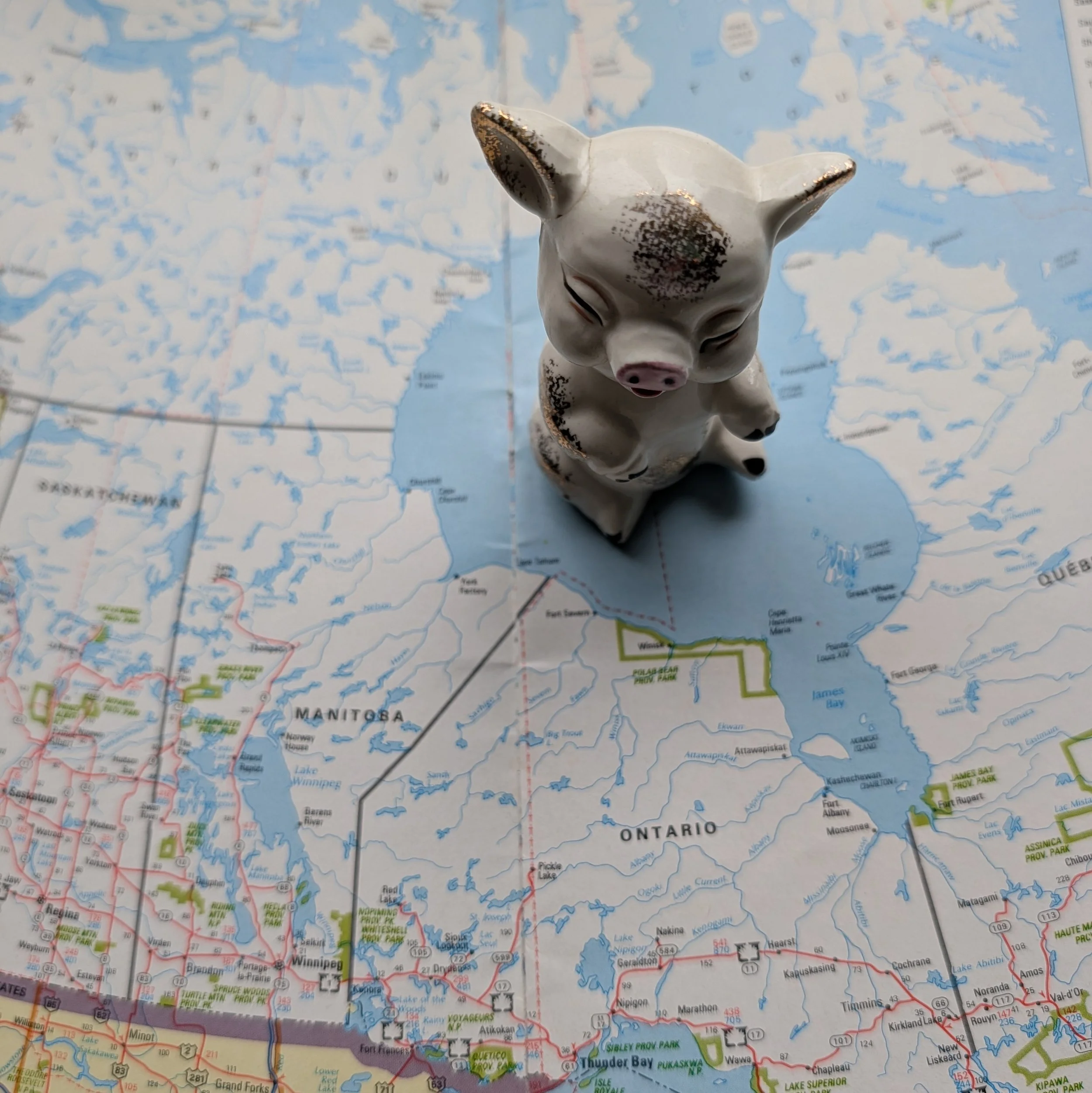 The Point of the Void: Cartesian Solitude and Environmental Ethics
