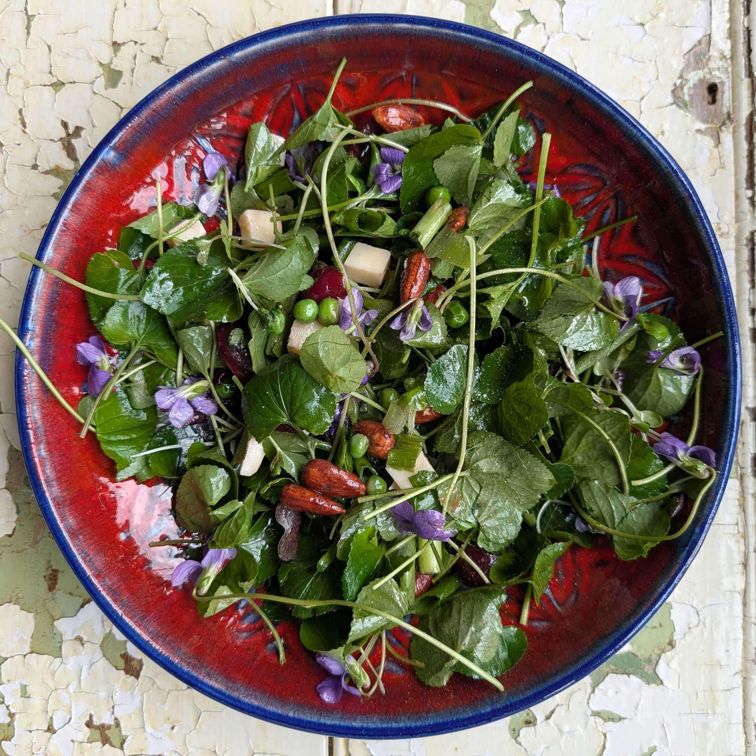 Weed to Flower Wild Violet Salad
