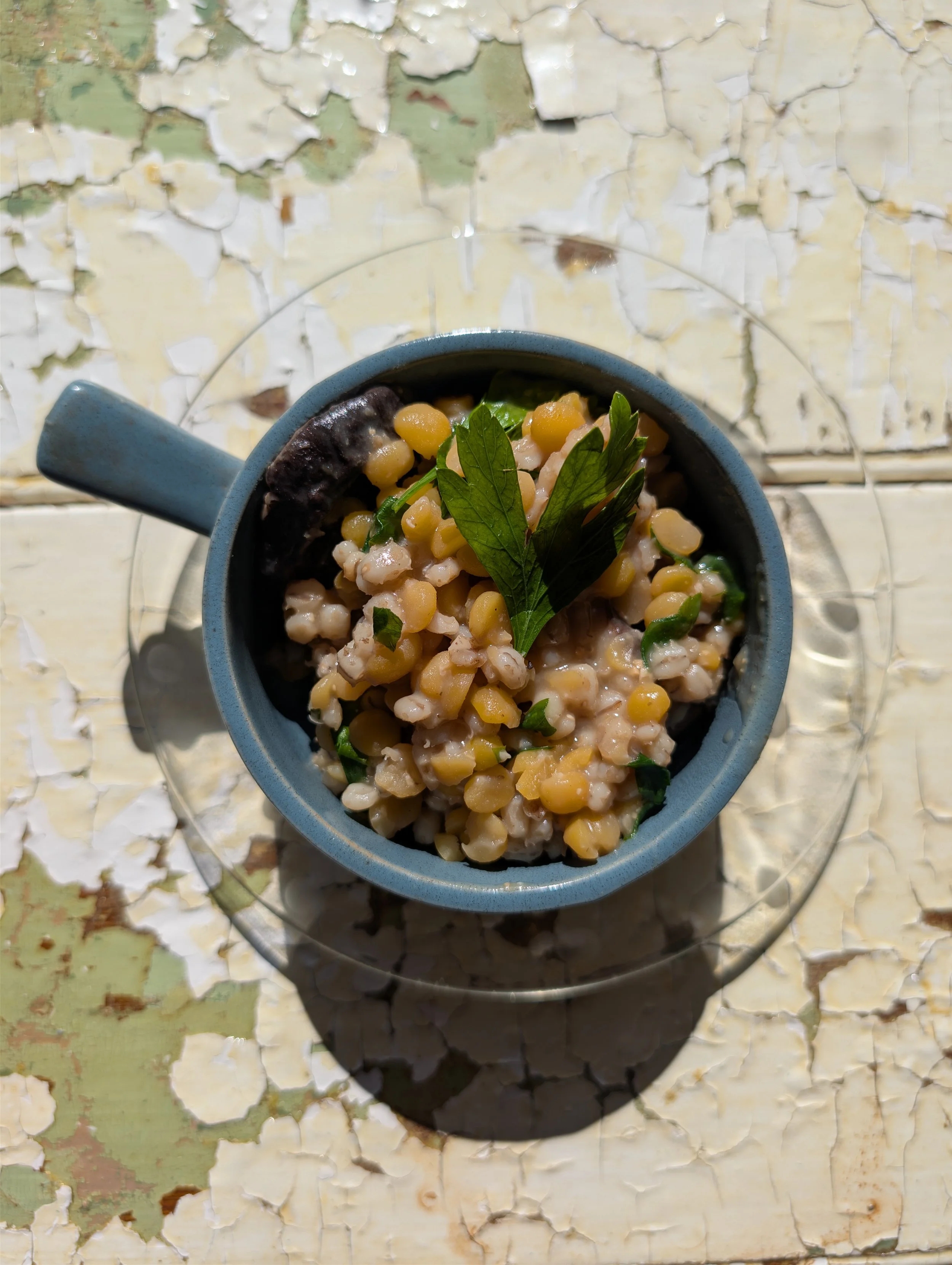 Black Shitake Gruel 