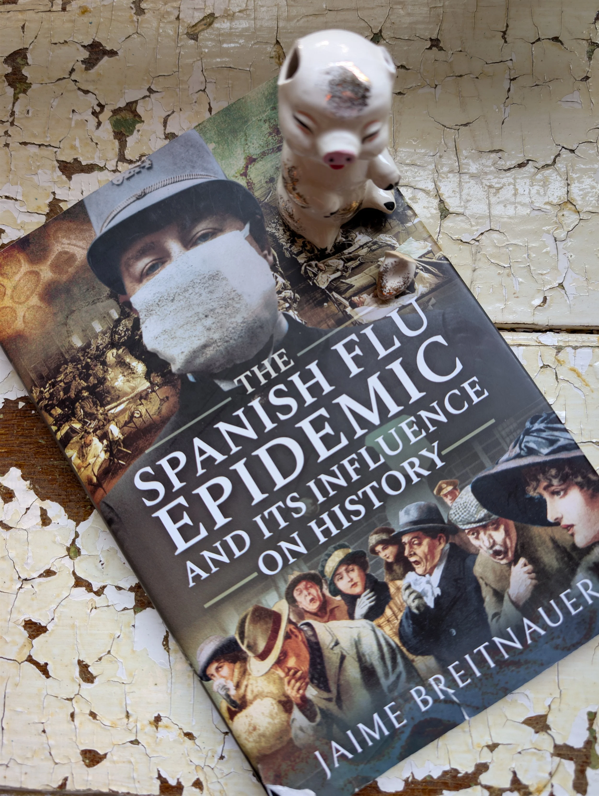 The Silver Spoon of Health in 1918 and the Spanish Flu
 (Copy)