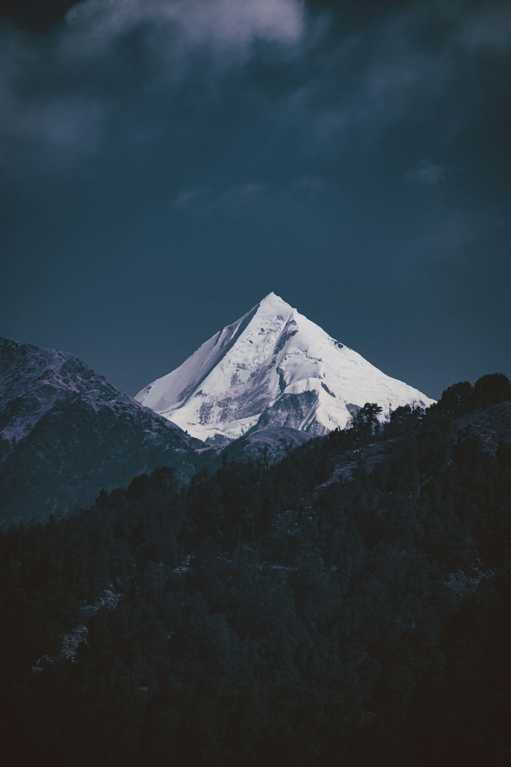 What does it take to reach your peak performance?