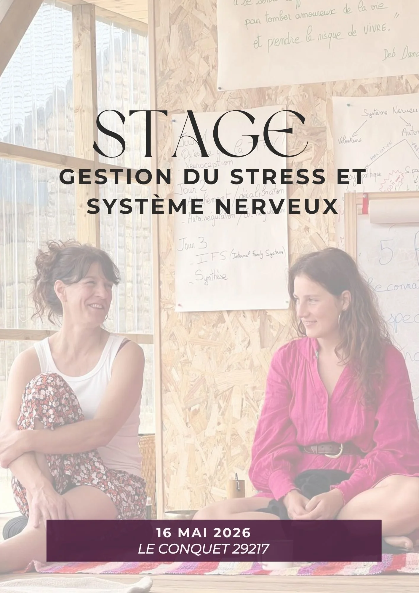 Gestion du Stress et Système Nerveux