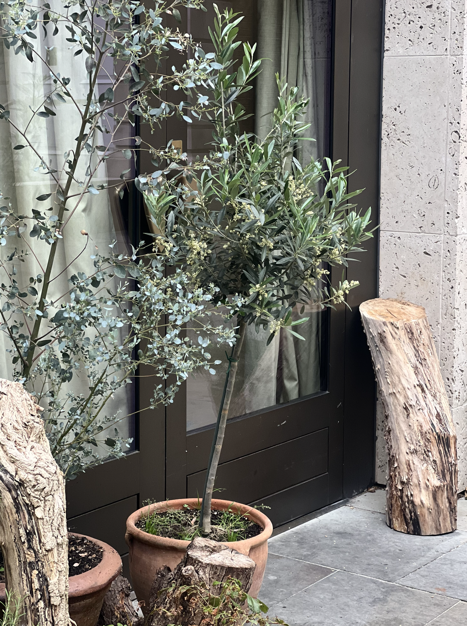 Quiet Luxury in London: A Thoughtful Lunch at Michelin-Starred St. Barts