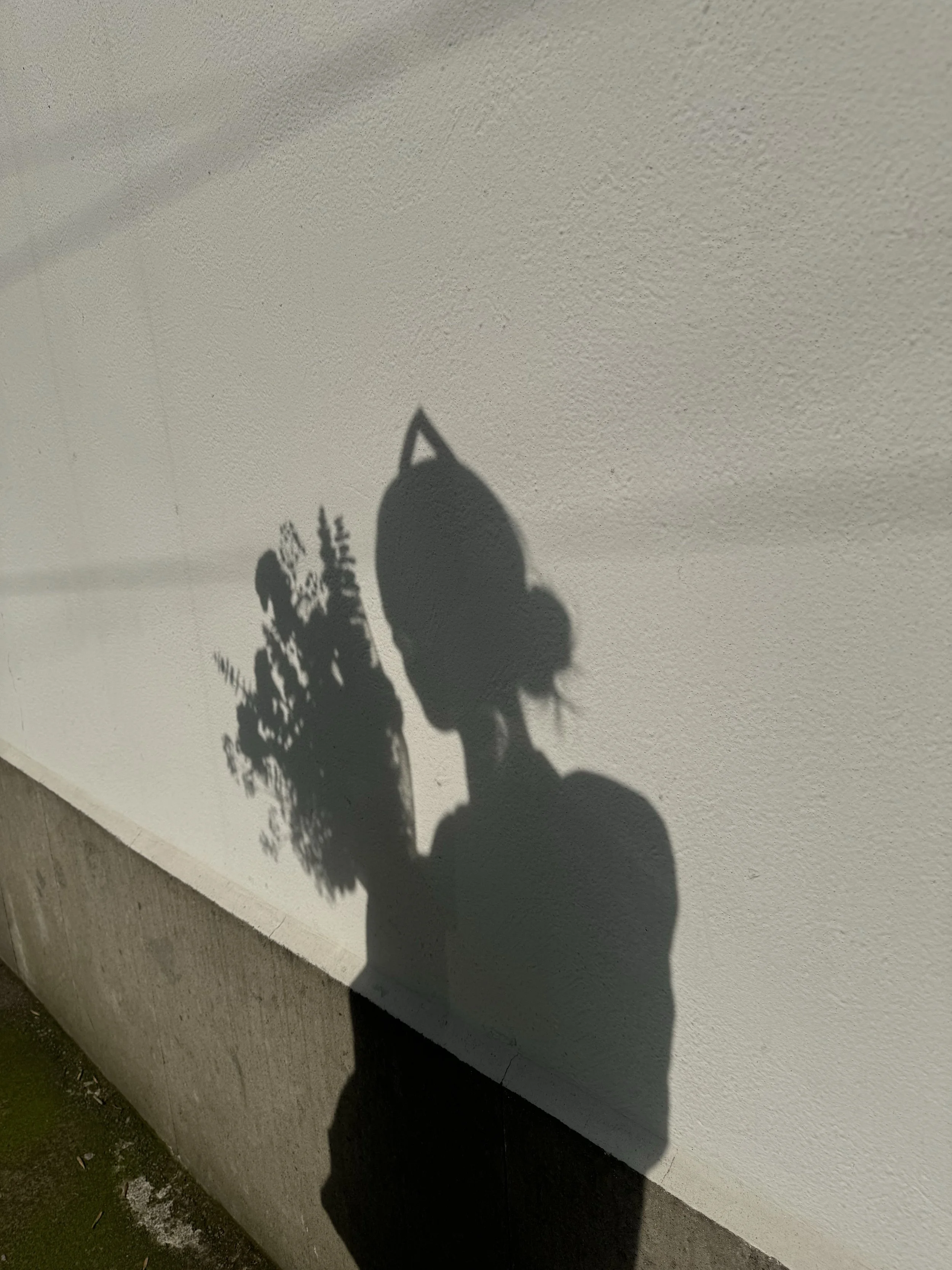 クイーンとして、自分を誇り高く思うように生きていく方法がここにはあります。スピリチュアルの怪しげで曖昧なところを、全てきちんと説明してくれて腑に落とせました。自分を大切に、好きに生きることの土台がここで全て学べます。