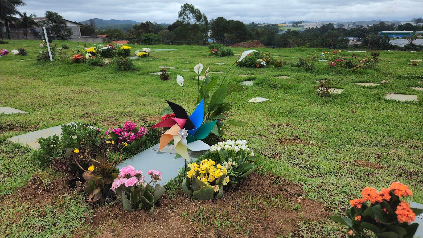 Como funciona o processo no Grupo Colina: do primeiro atendimento à despedida