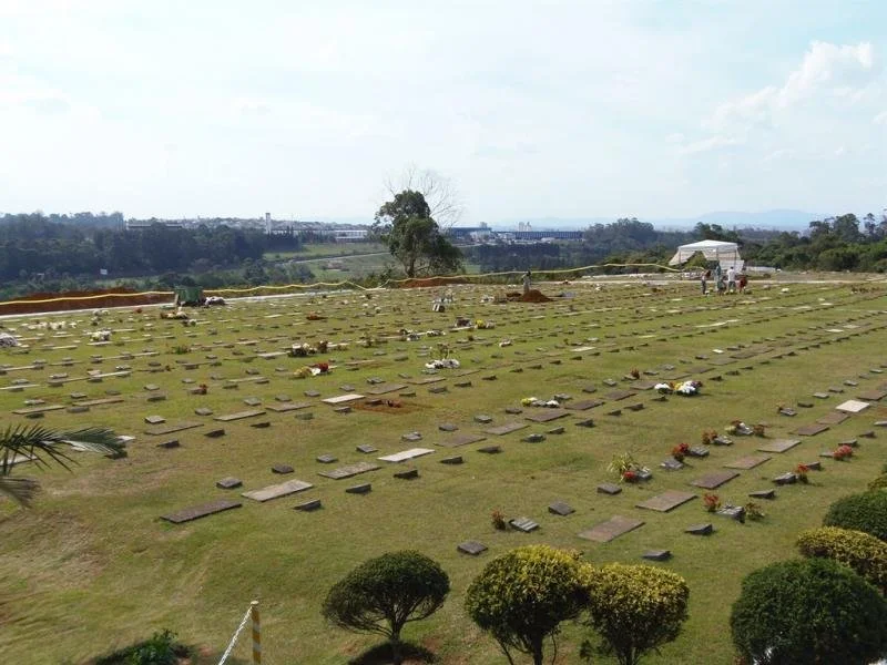 Além do que os Olhos Veem: As Profissões e os Bastidores do Colina.