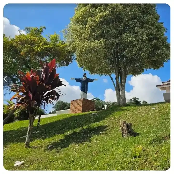 cemiterio-cotia-colina-dos-ipes.webp