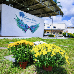 Cemitério Park Suzano Colina