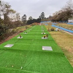 Cemitério em Cotia com túmulos e uma cruz ao fundo, com árvores ao redor e caminho de terra no centro.