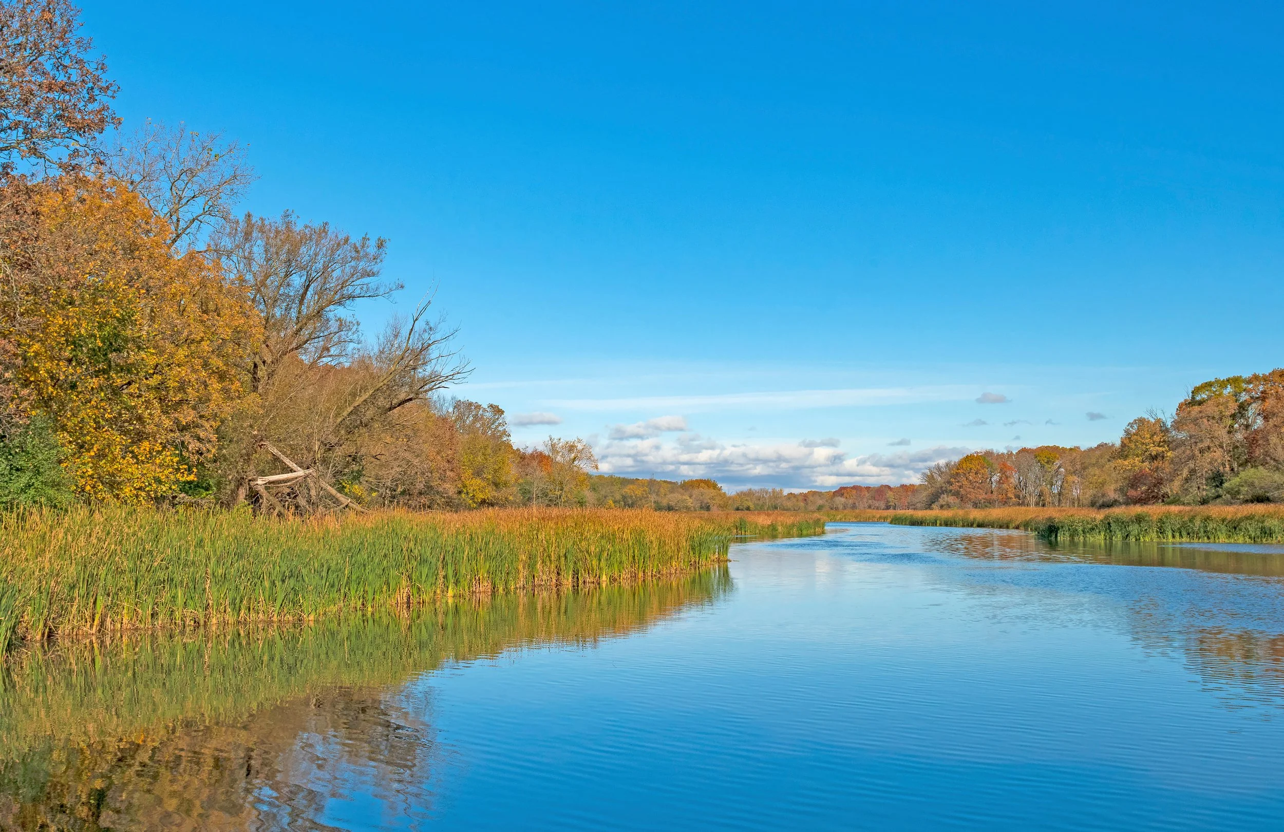 Compass Chicago Schwabe Group - Arlington Heights, IL Real Estate Experts