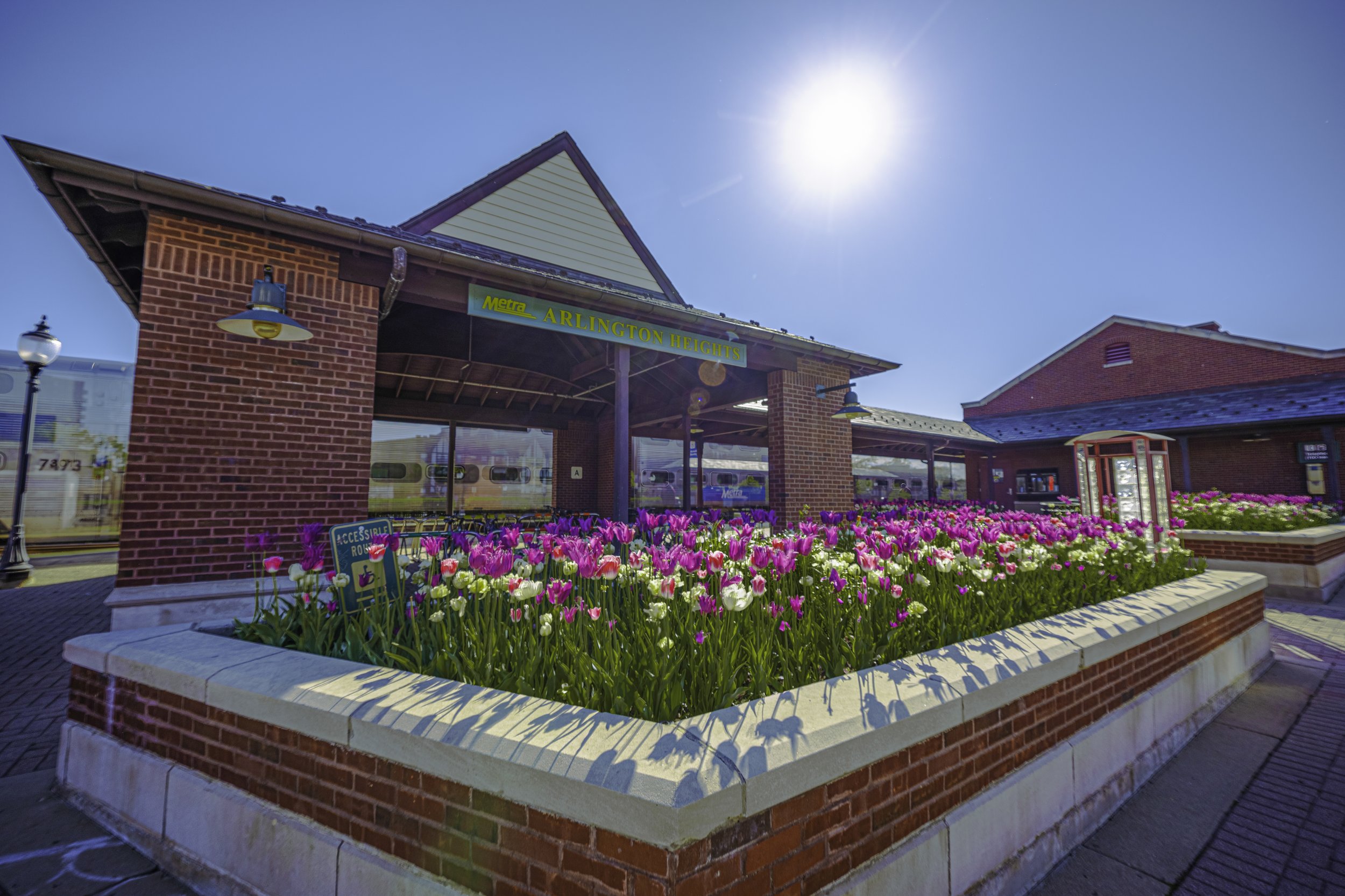 (V2)Arlington Heights_Ground Shot-05.jpg