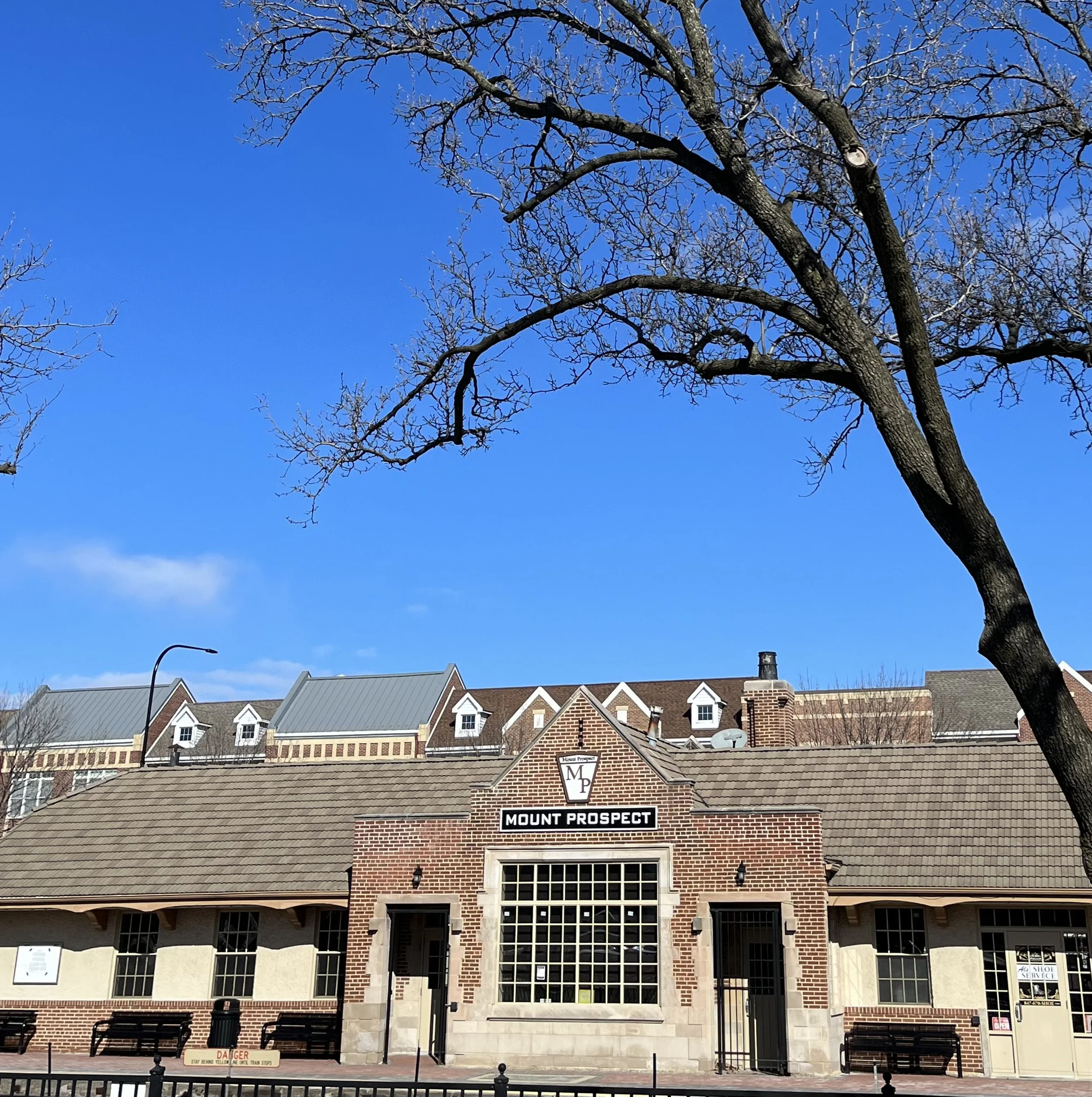 Copy of Mt Prospect_train.jpeg