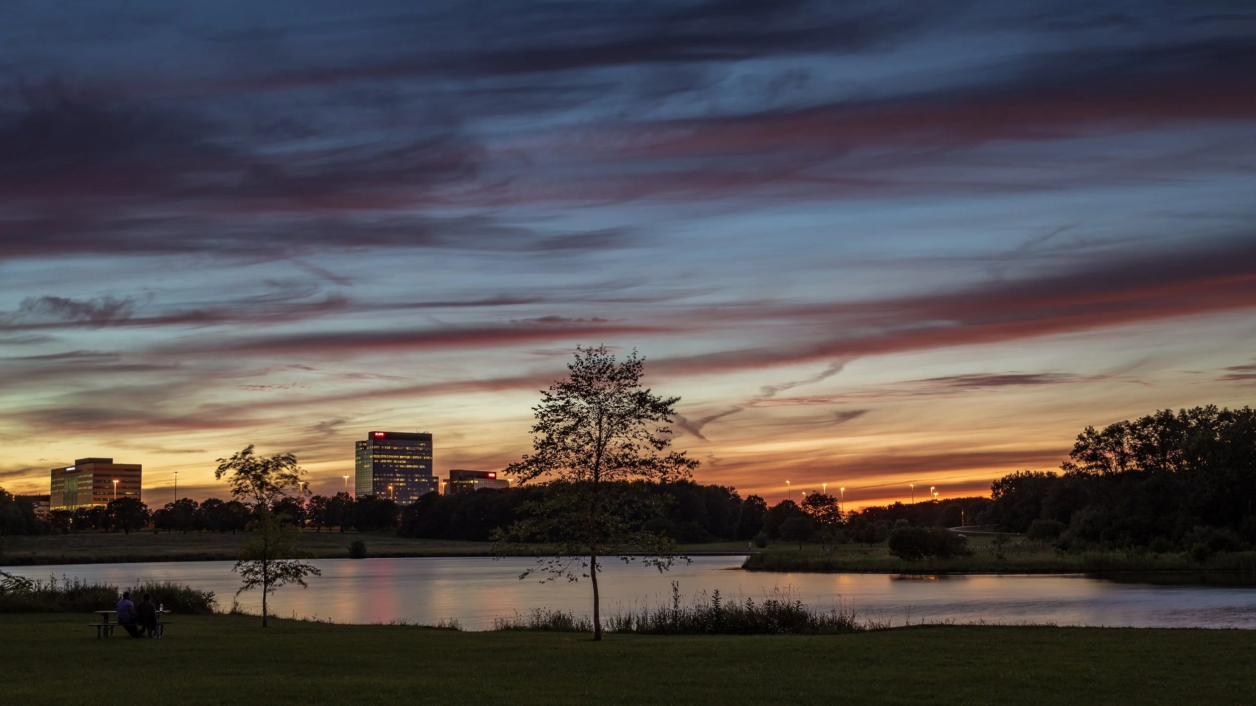 Compass Chicago Schwabe Group - Arlington Heights, IL Real Estate Experts