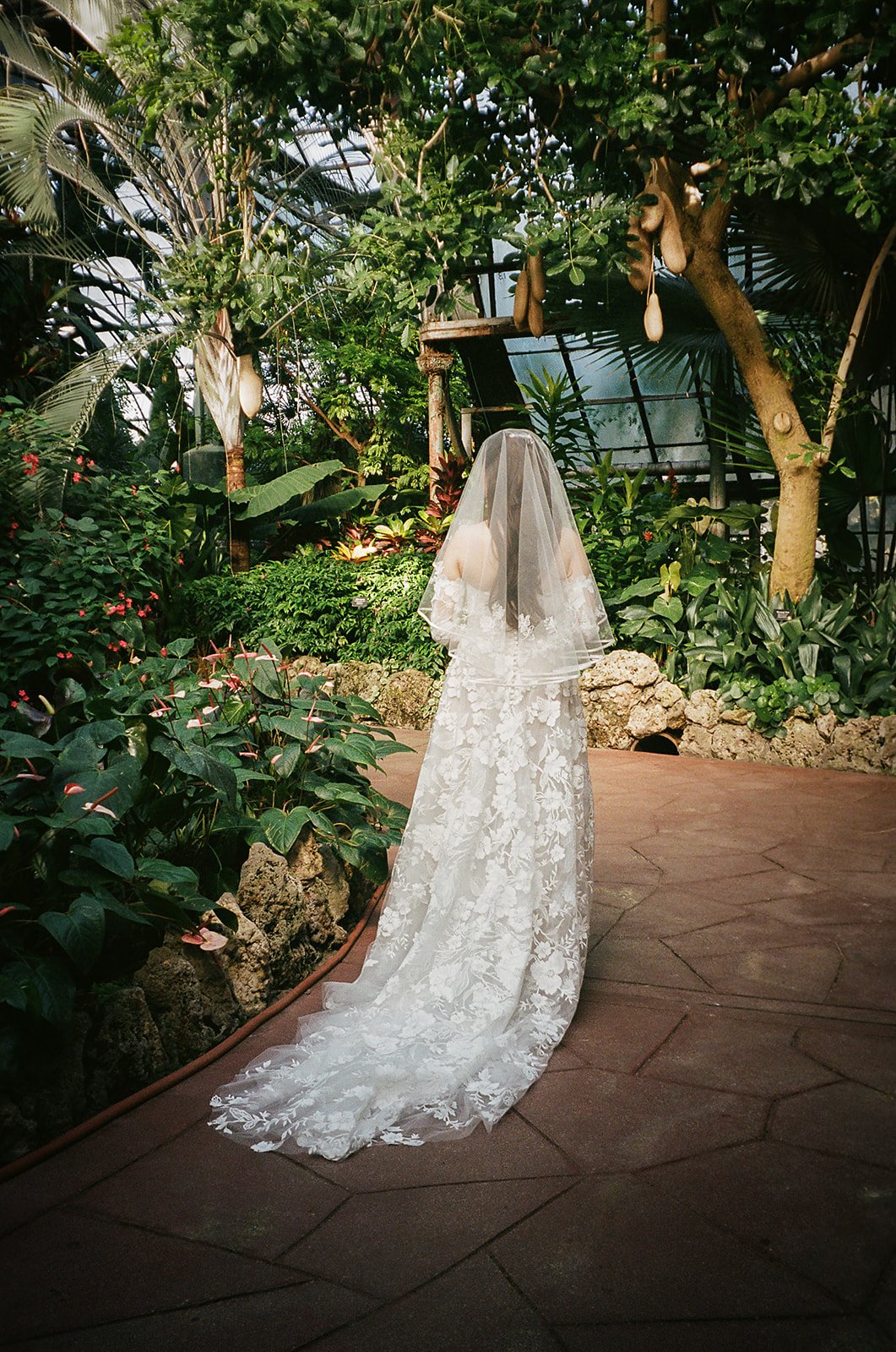portrait of bride. portraits of Bride and Groom get married at Lincoln Park Conservatory and Salvatores. Grace Coudal is a Chicago lesbian photographer specializing in portraits, candid, editorial, documentary, events, + weddings. Analog film wedding