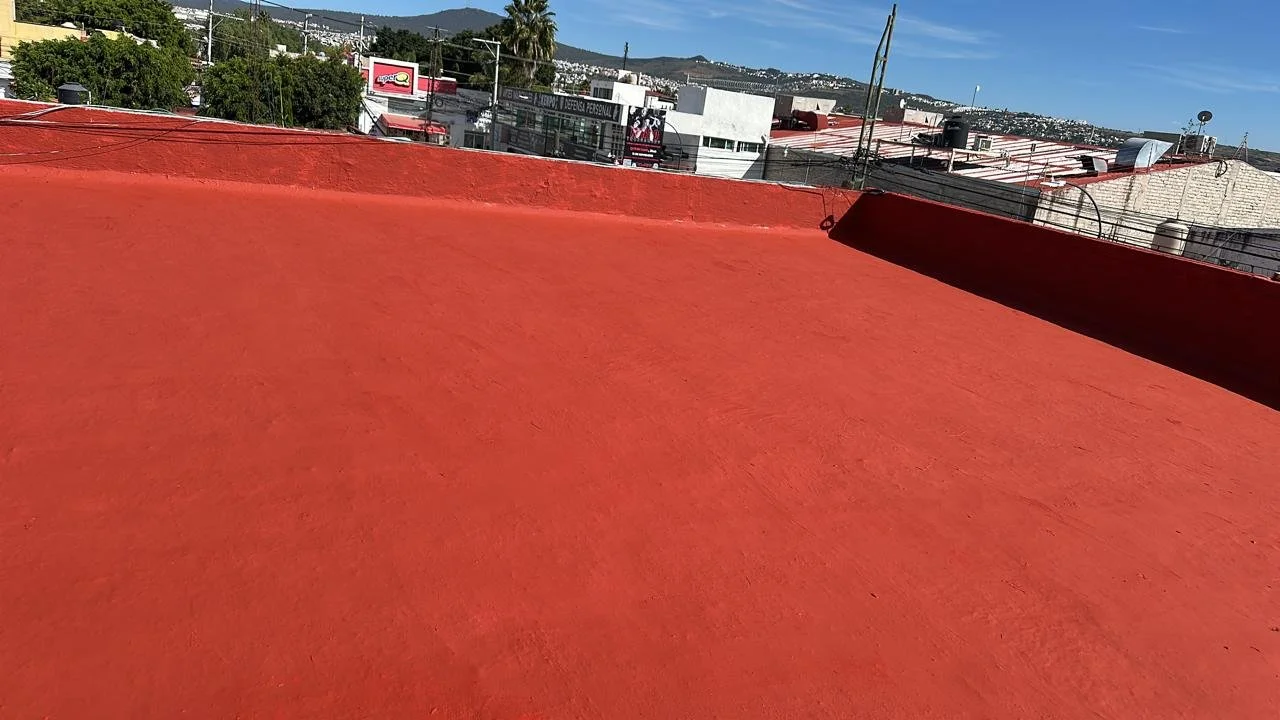 WhatsApp Image 2025-12-03 at 4.28.51 PM.jpeg