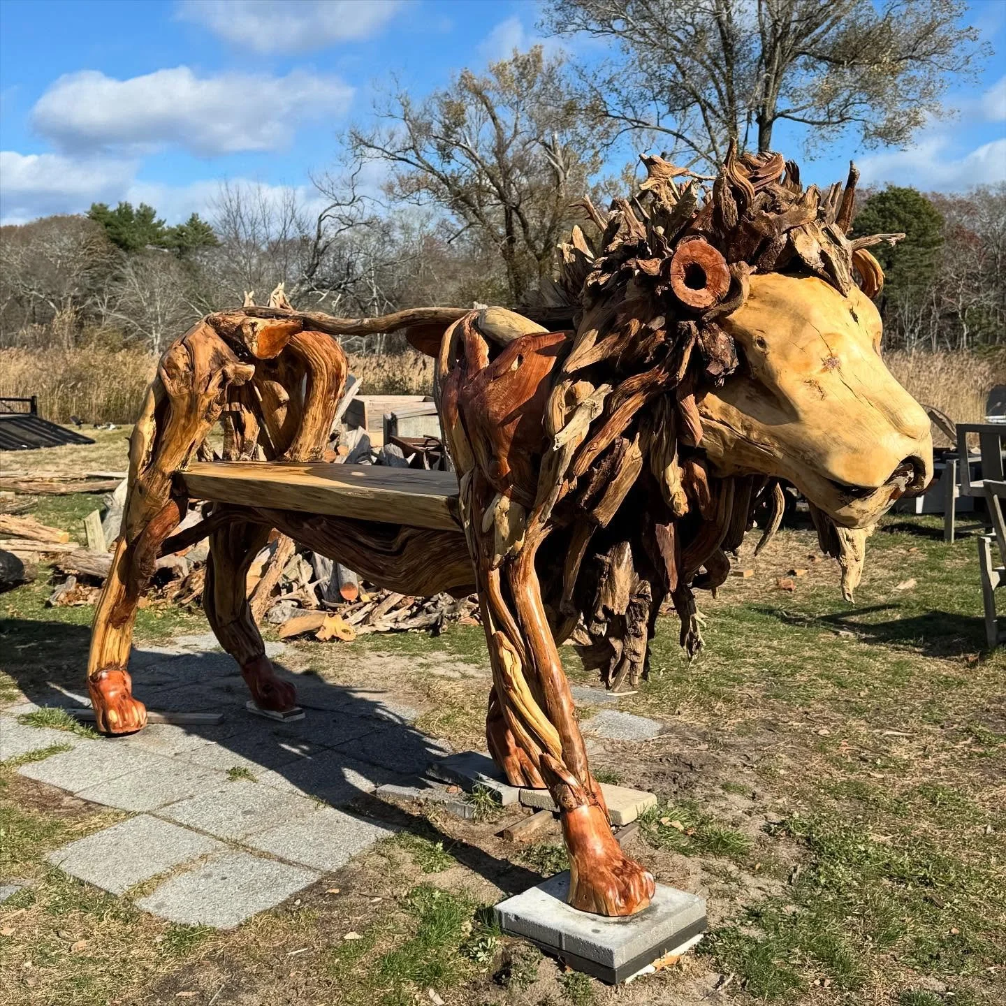 One more unique piece freshly done at Campo Cuttica ✨

A lion sculpted from driftwood and carved wood, blending art and function. Its expressive mane of intertwined roots and branches gives the piece movement and spirit, while its body serves as a un