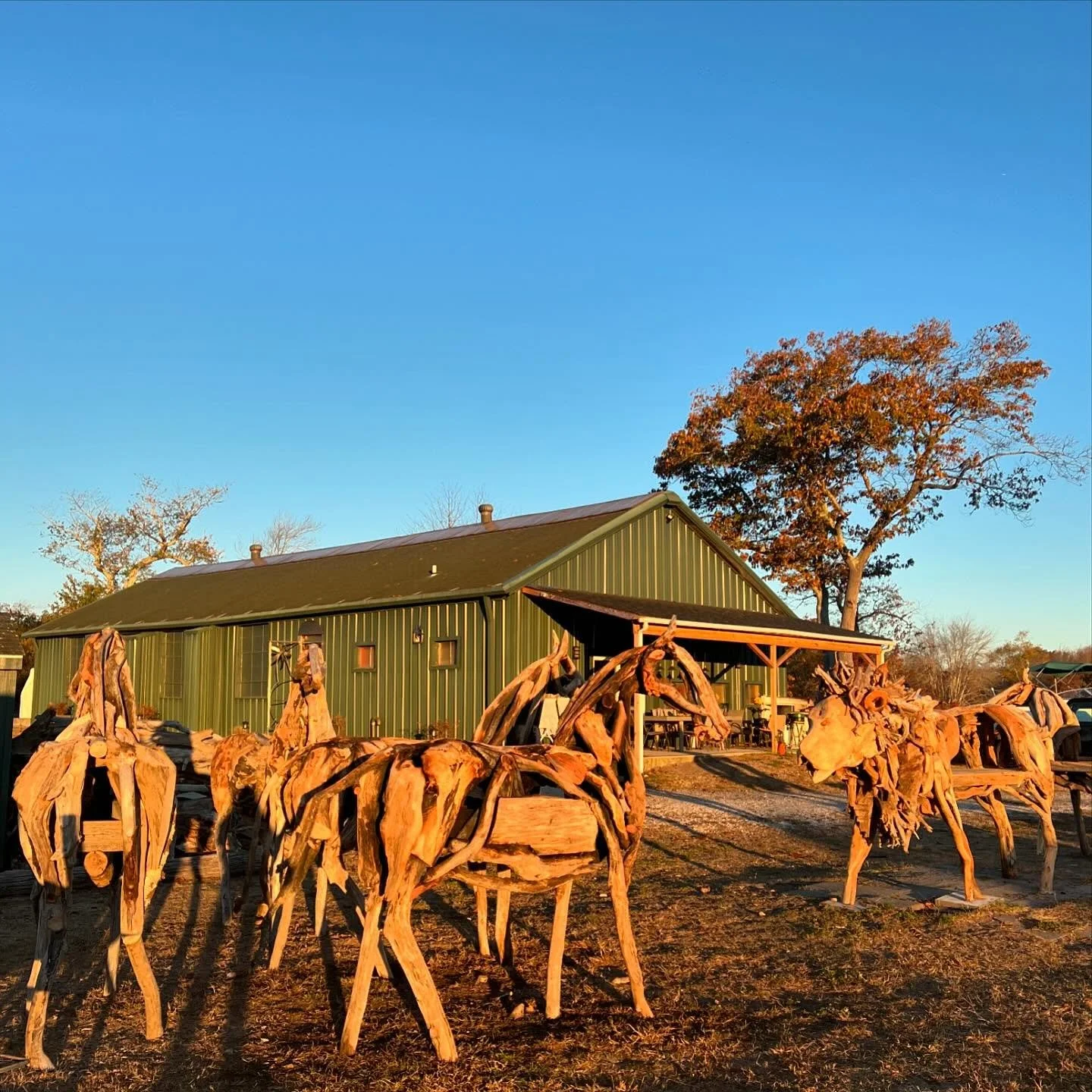 That morning light 🪚🪵🛠️🌅

Wood sculptures by @francocuttica 

Available to see at Campo Cuttica.