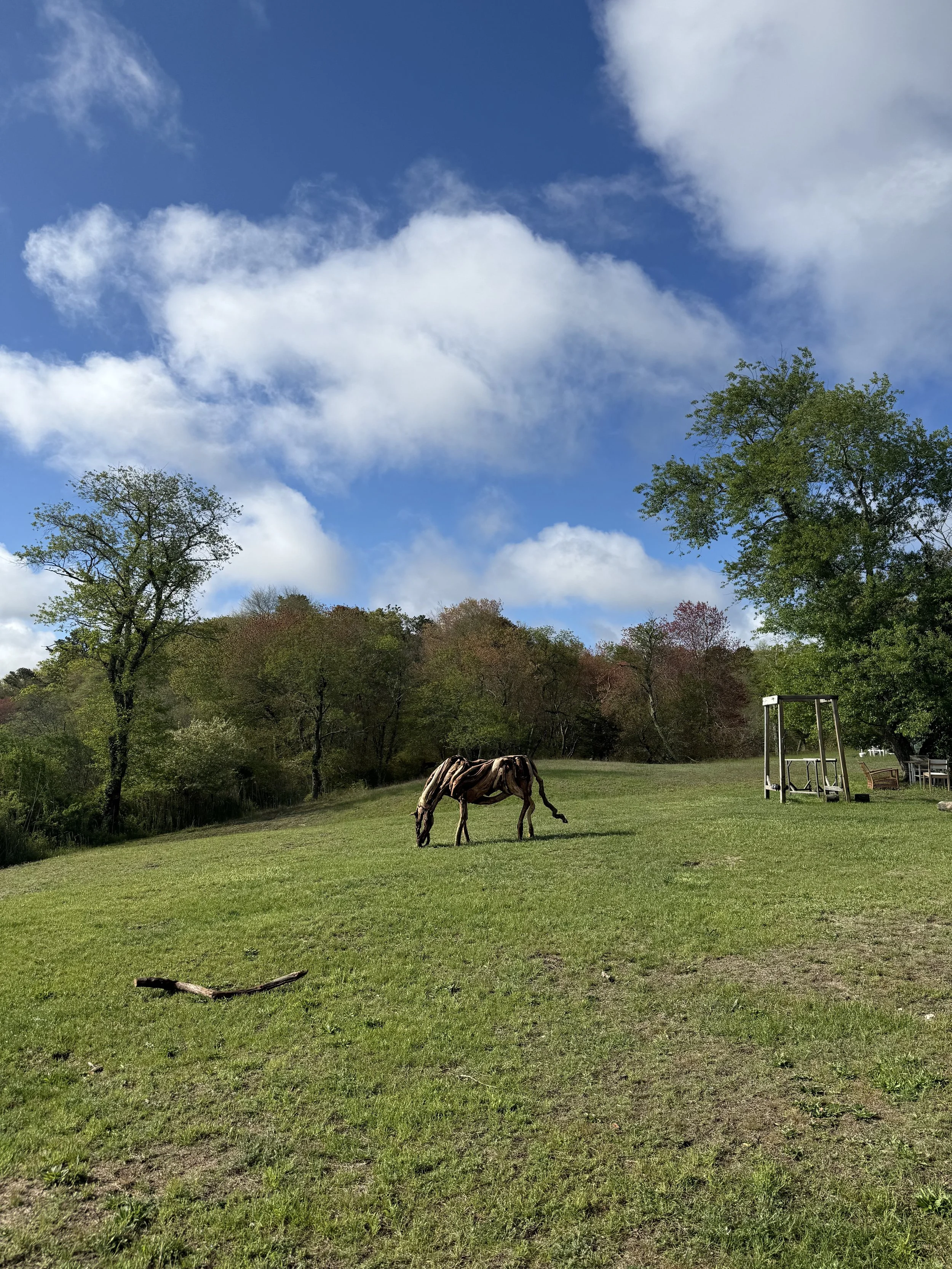 Prado con un árbol y un caballo pastando, cielo azul con nubes y mobiliario de patio en el fondo.