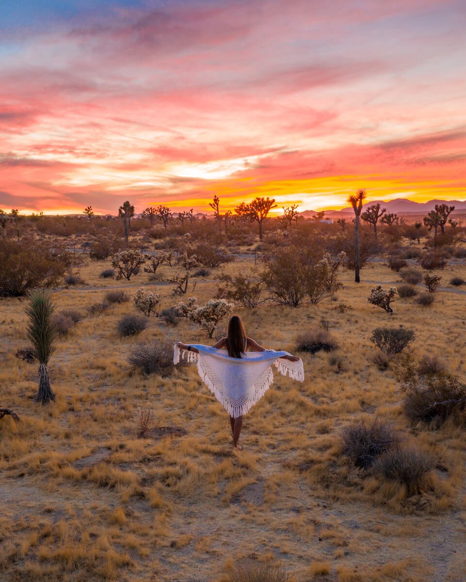 sunset-joshua-tree-national-park.jpg