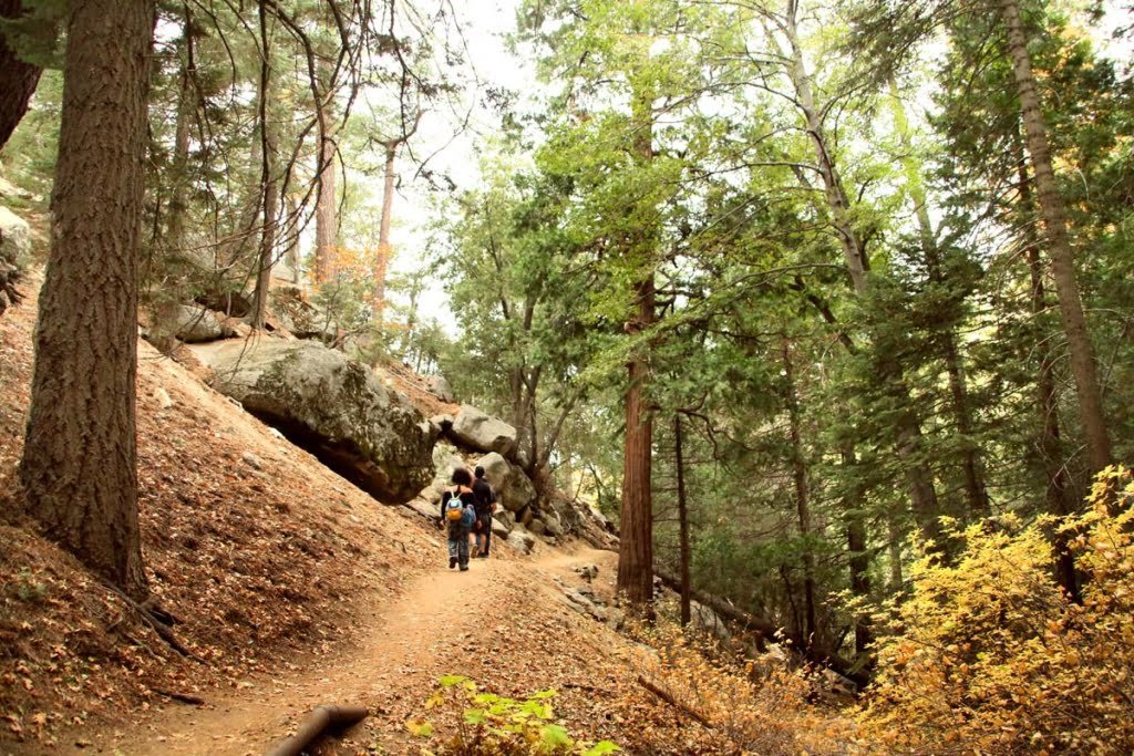 Ernie-Maxwell-Scenic-Trail-3-1024x683.jpg
