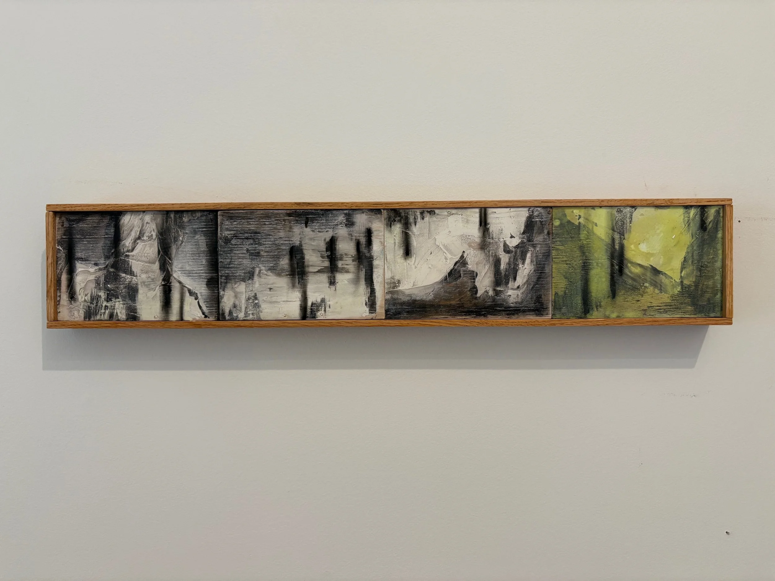 Winter Preserve, 2025
Acrylic, charcoal and joint compound on panel
5x30in