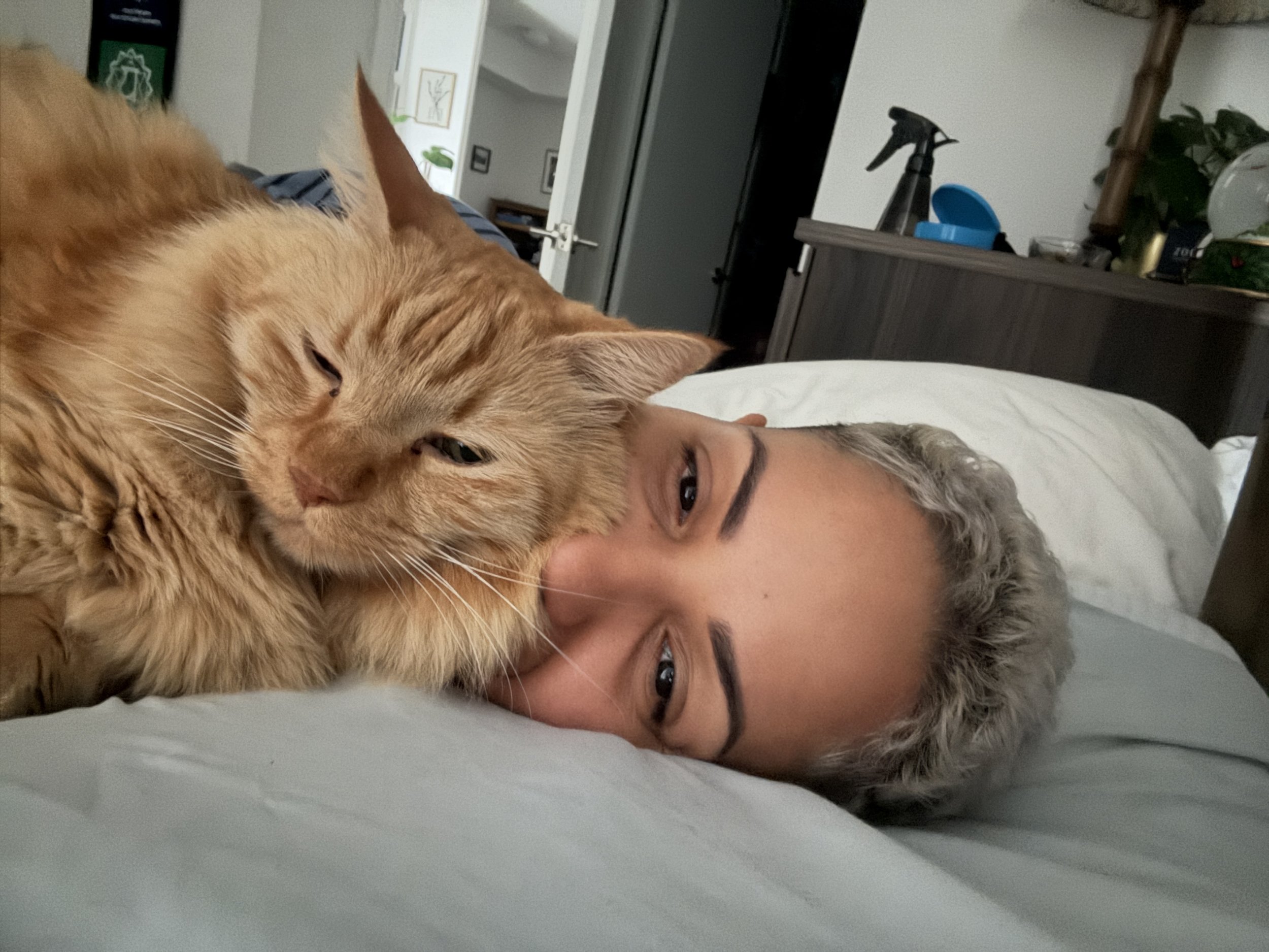 Snuggles with Rey (E cuddled with their cat)