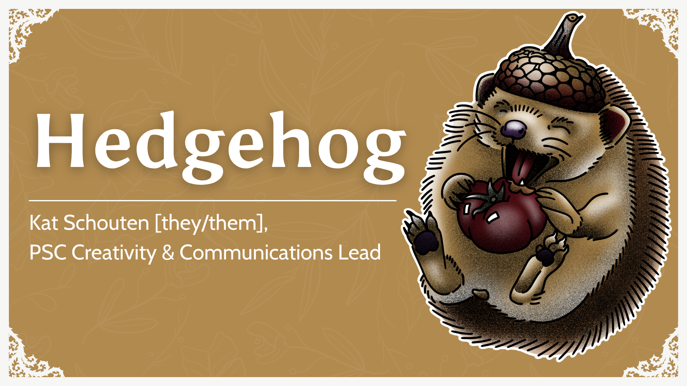 Story of the Hedgehog